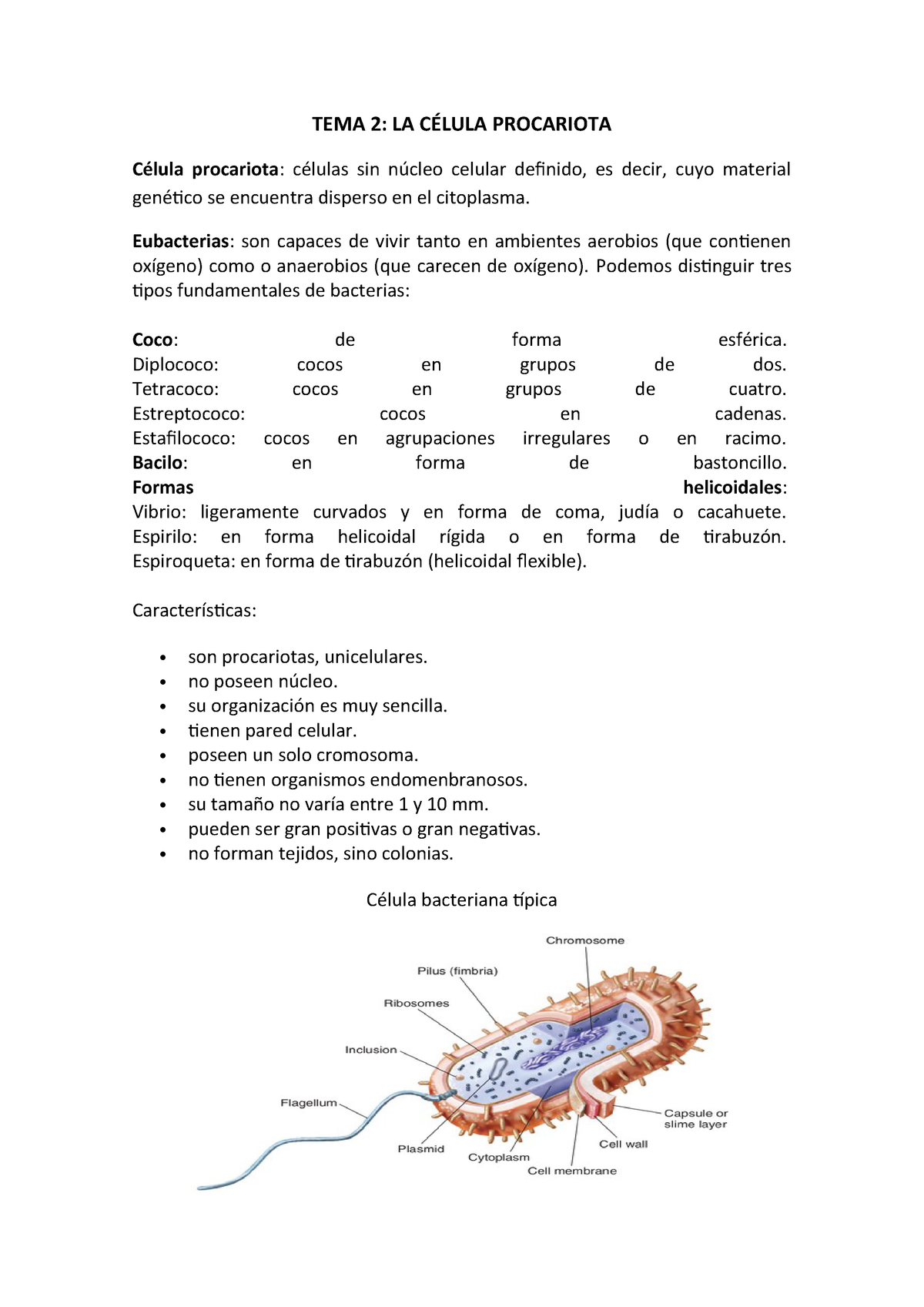 Tema 2 Biologia Upm Studocu