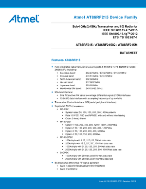 RT6863 DS Rev - Datasheet - RICORE High Quality Audiophile TECHNOLOGY ...
