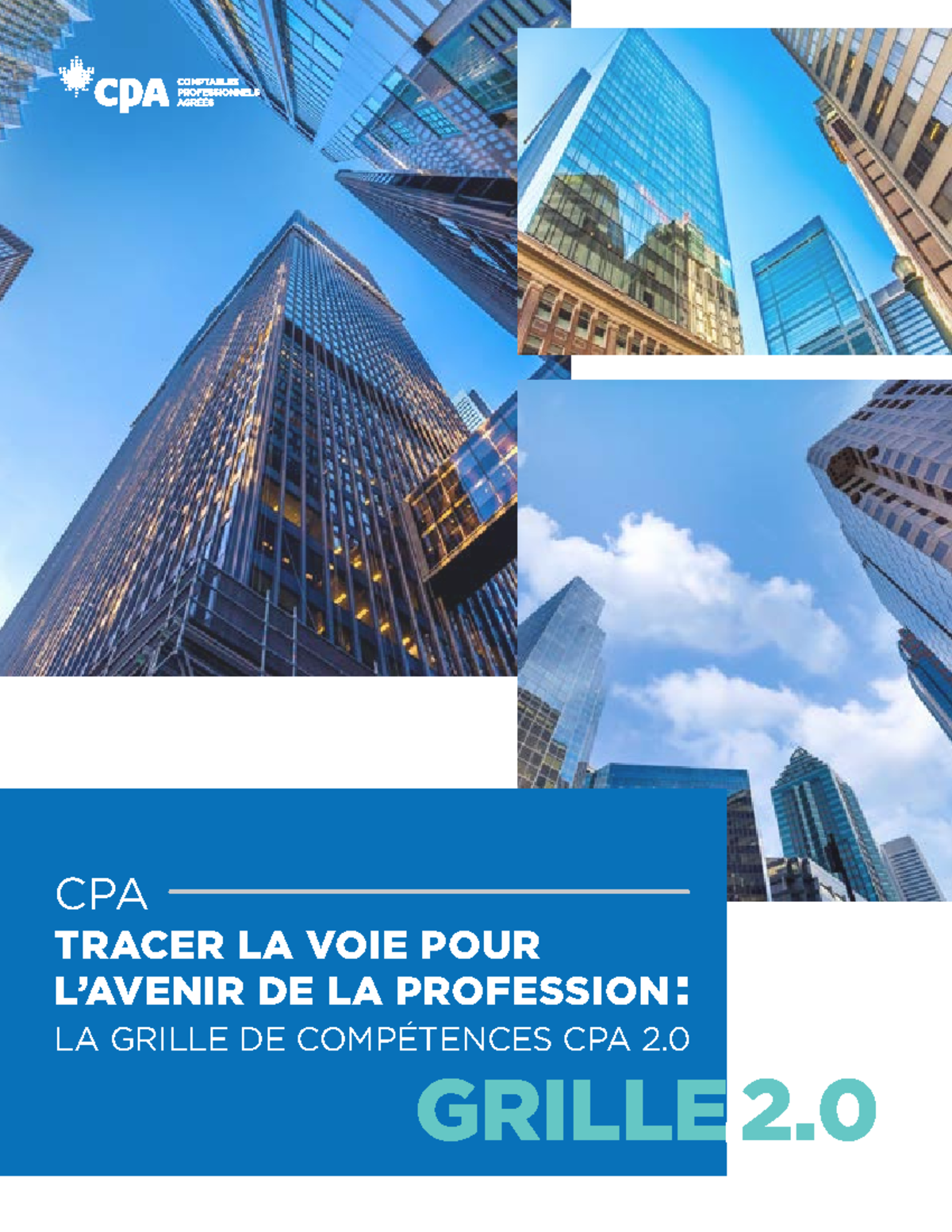 Grille de compétences CPA 2 - CPA TRACER LA VOIE POUR L’AVENIR DE LA ...