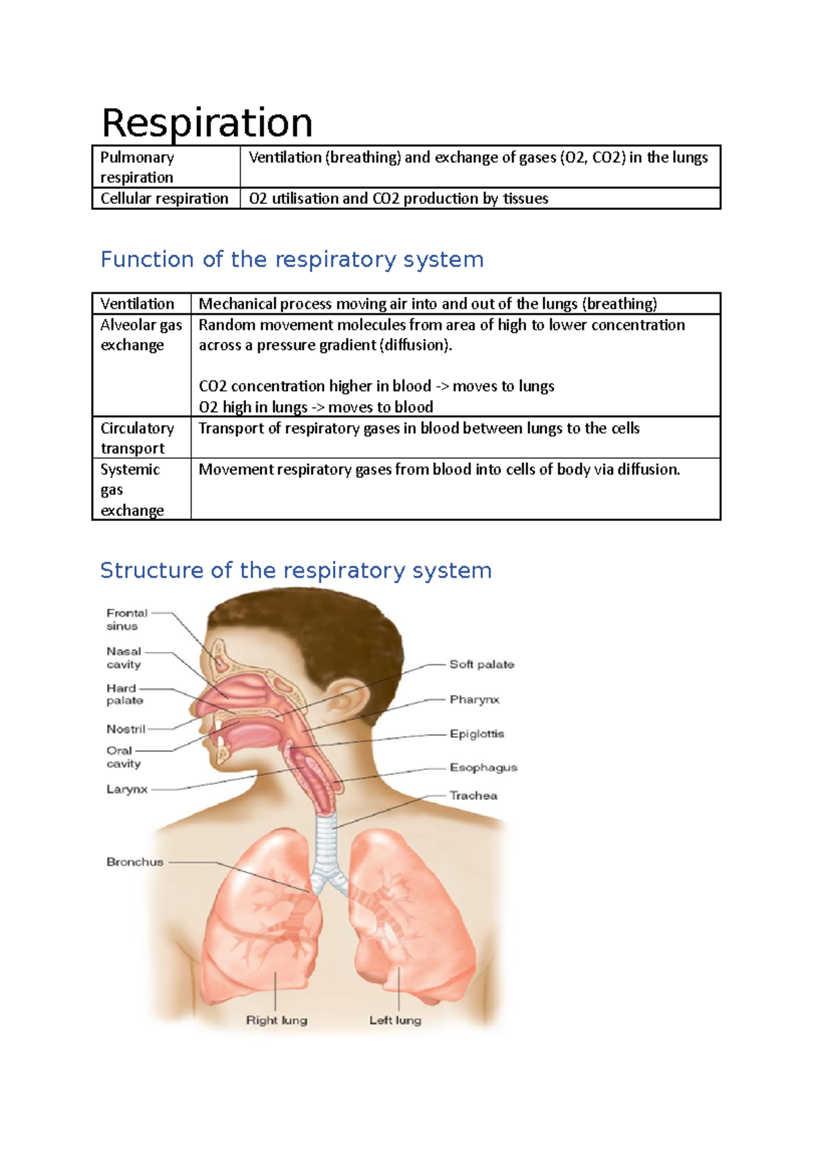 Respiration - Lecture notes Week 9 - Respiration Pulmonary respiration ...