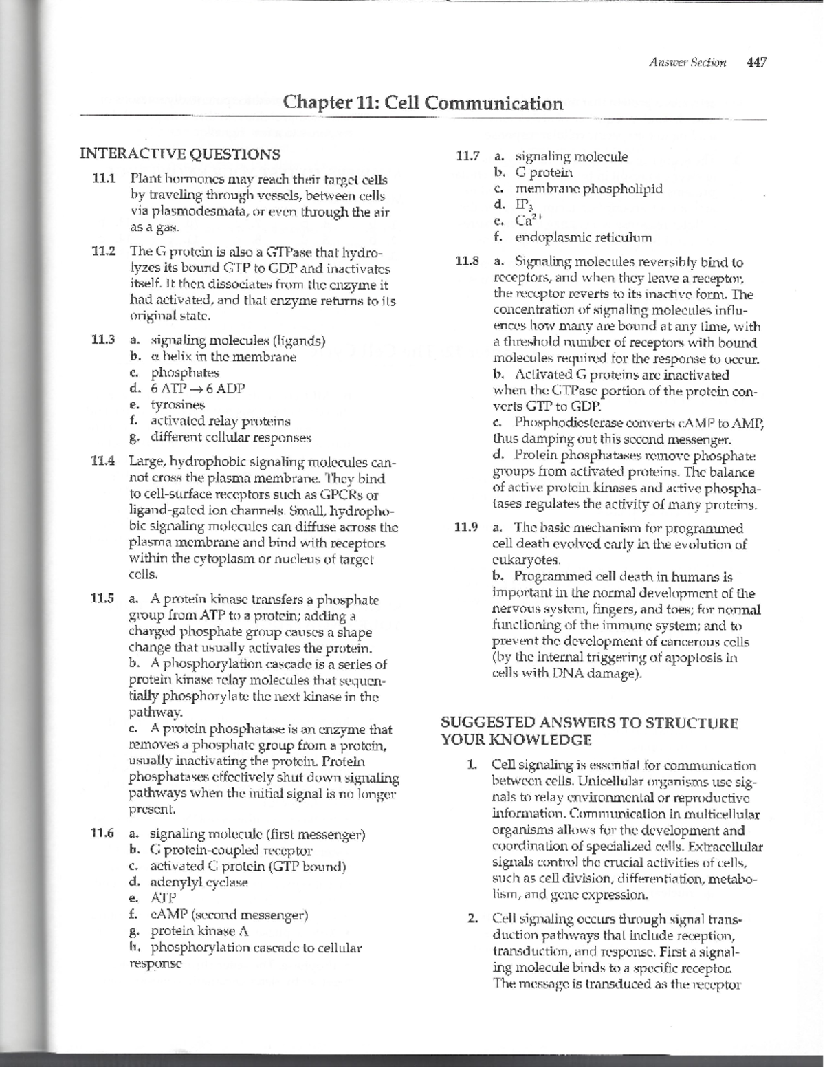 Chapter 11 Answer Key - Lecture Notes 11 - Answer Section 447 Chapter ...