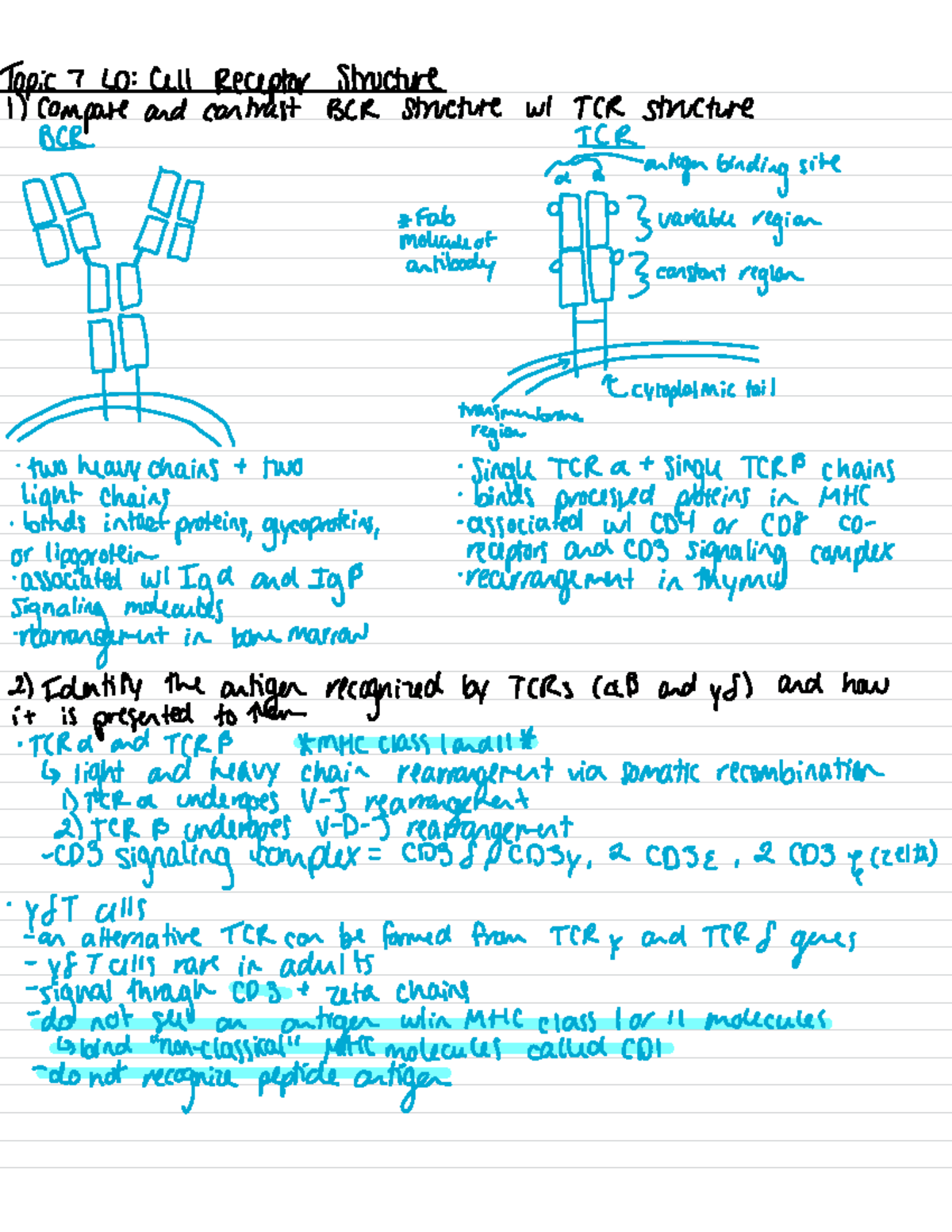 bld 434 case study 2