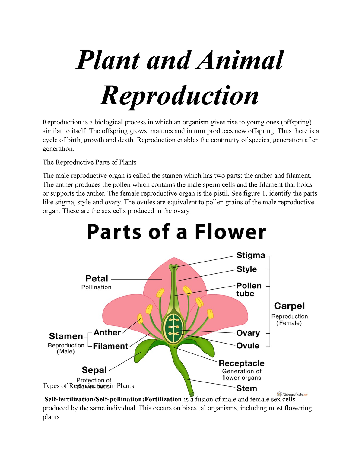 Plant and Animal Reproduction - Plant and Animal Reproduction Reproduction  is a biological process - Studocu