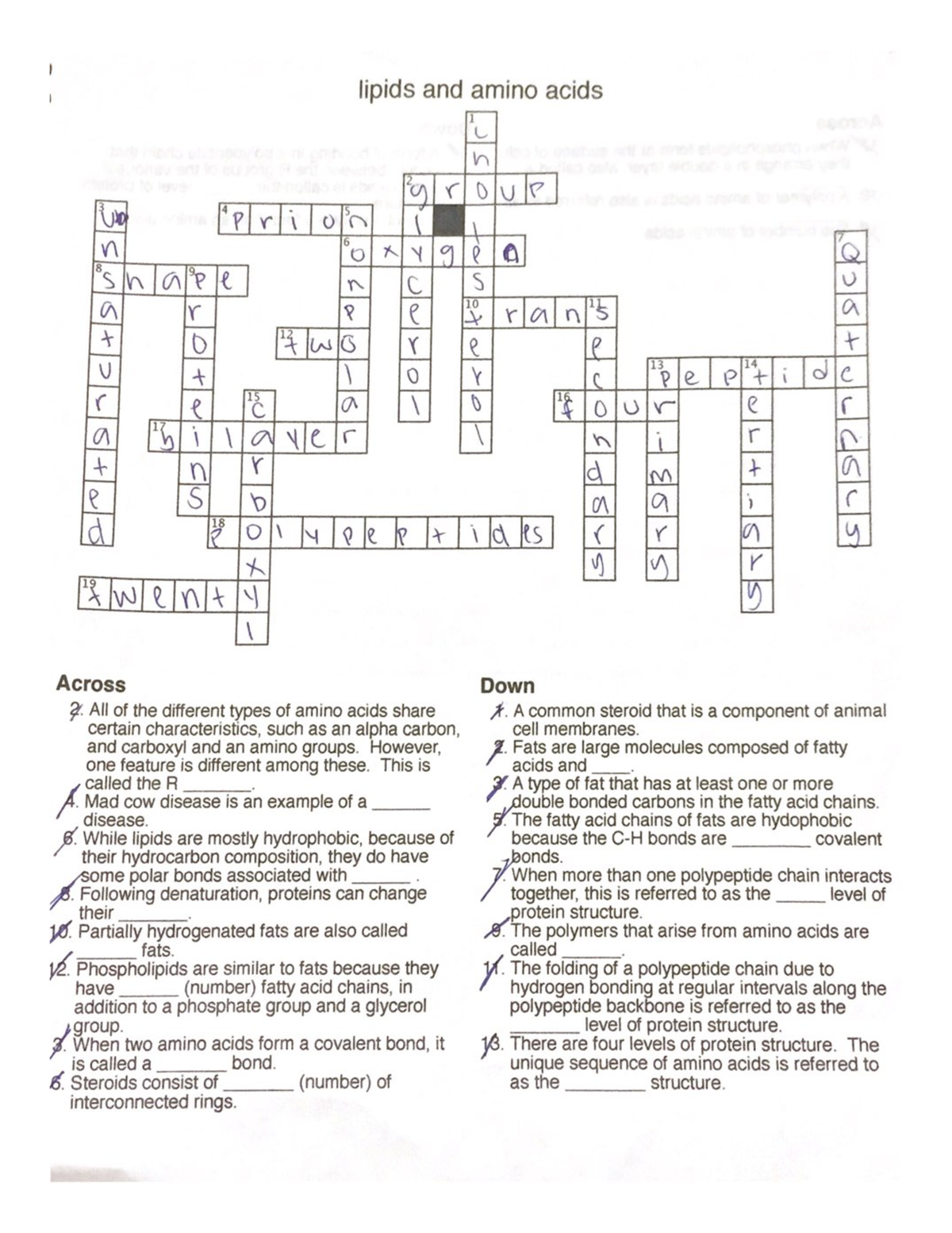 Lipid Crossword Helpful BSC 114 Studocu