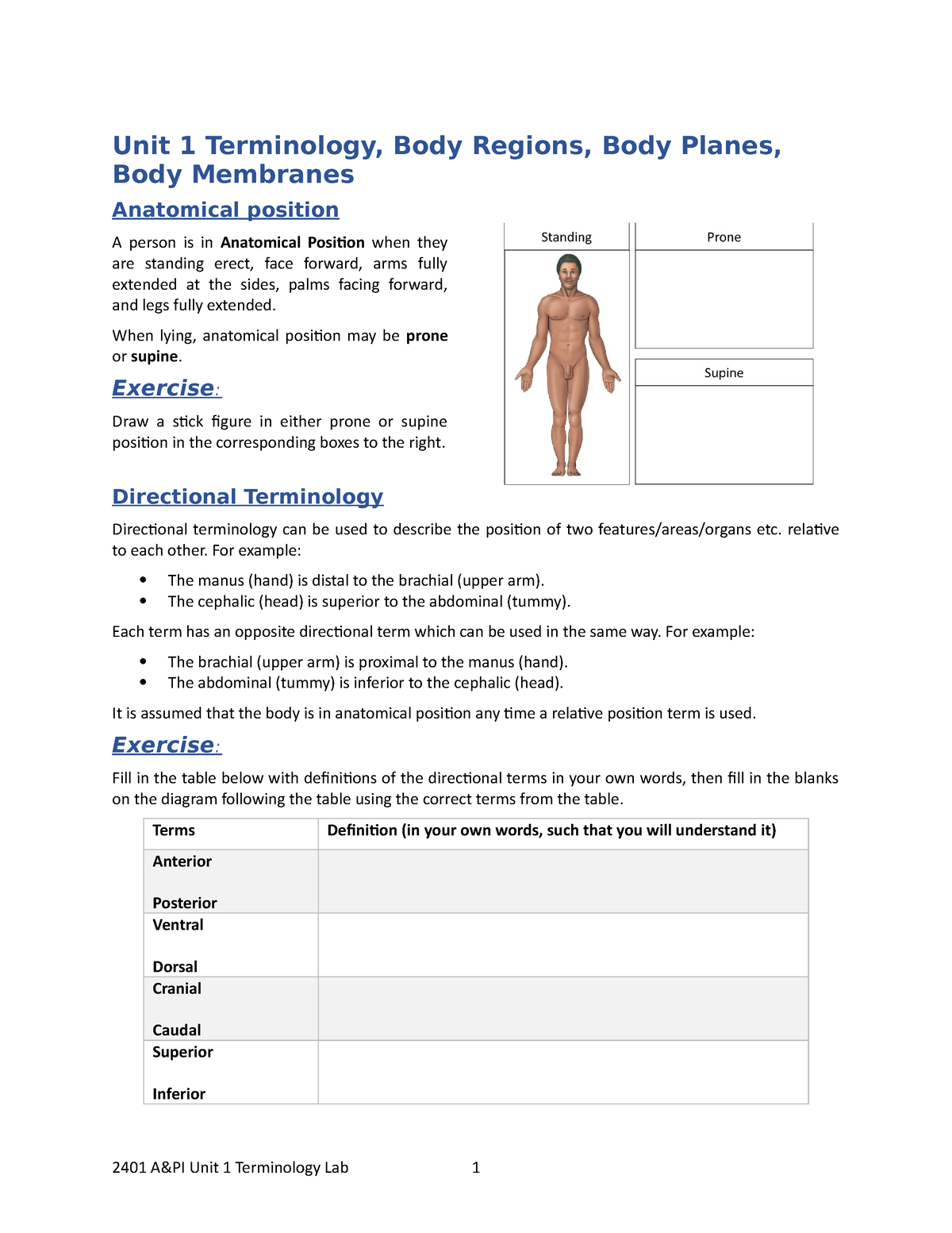 2023 Lab Packet Terminology To Chemistry Unit 1 Terminology Body Regions Body Planes Body 1248