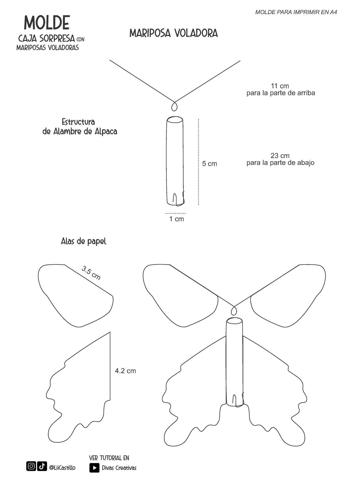 Molde Caja Y Mariposas Actualizado Cm Molde Mariposa Voladora Estructura De Alambre De