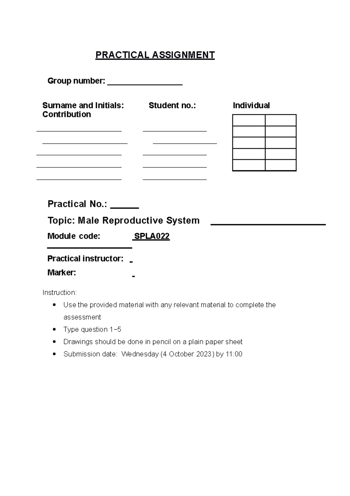 male reproductive system assignment pdf