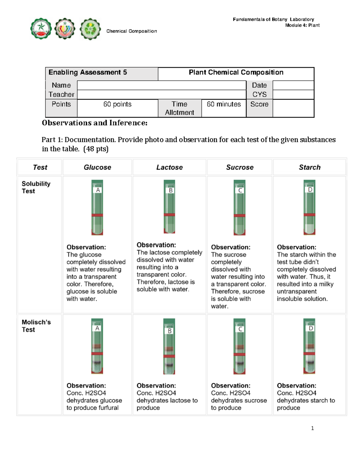 Botany Lab Plant Chemical Composition - Fundamentals of Botany - La ...