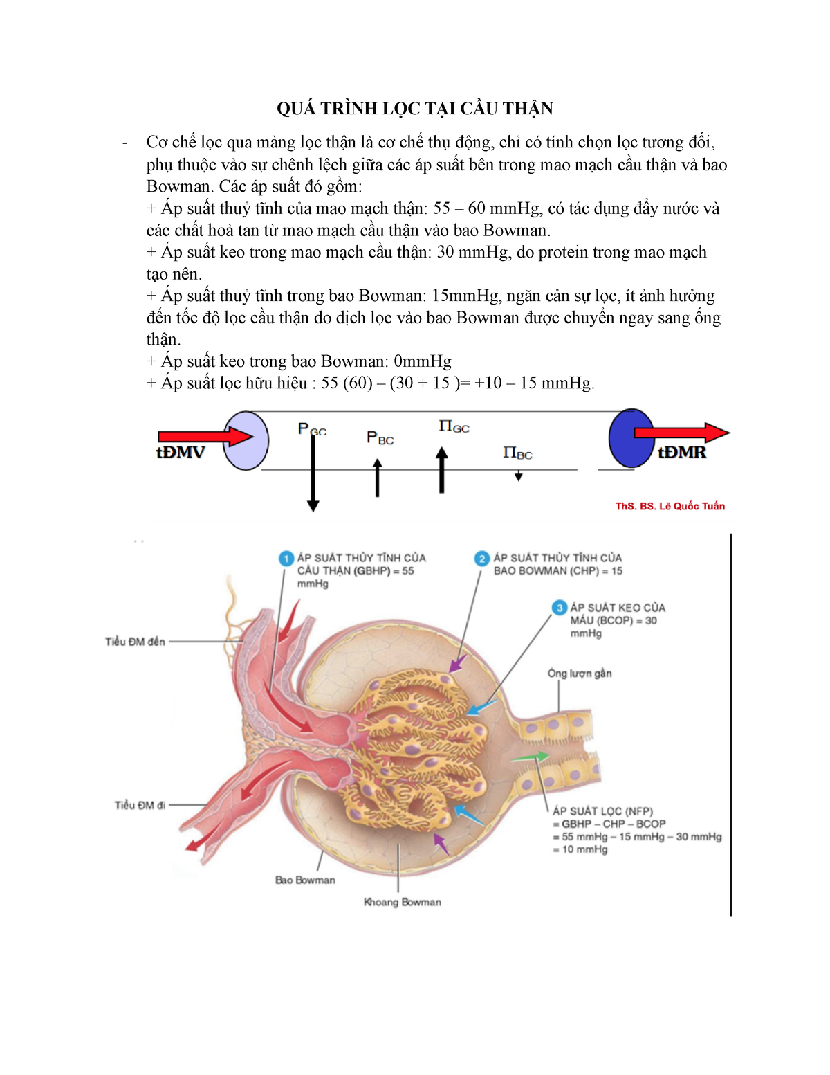 Quá trình lọc ở cầu thận có ảnh hưởng đến chức năng nào khác của cơ thể?
