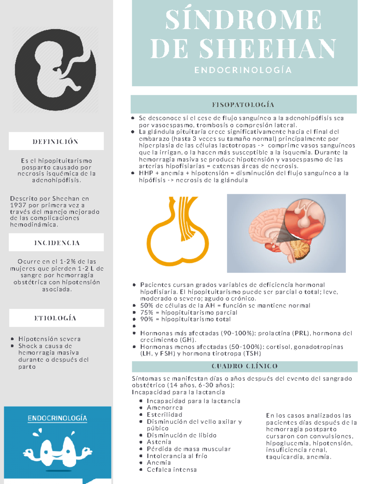 Sindrome De Sheehan Endocrinologia Studocu