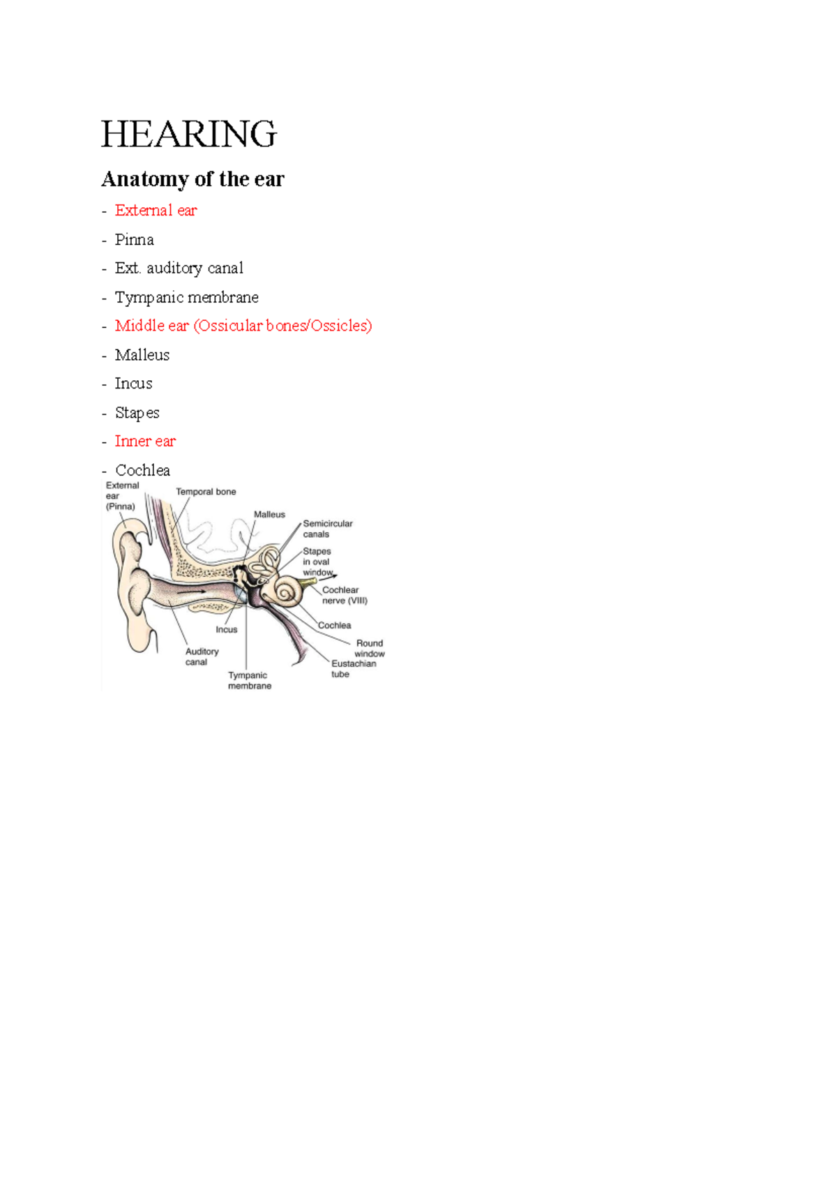 Hearing Summary - INTERPRETATIONS OF SOUND WAVES - HEARING Anatomy of ...