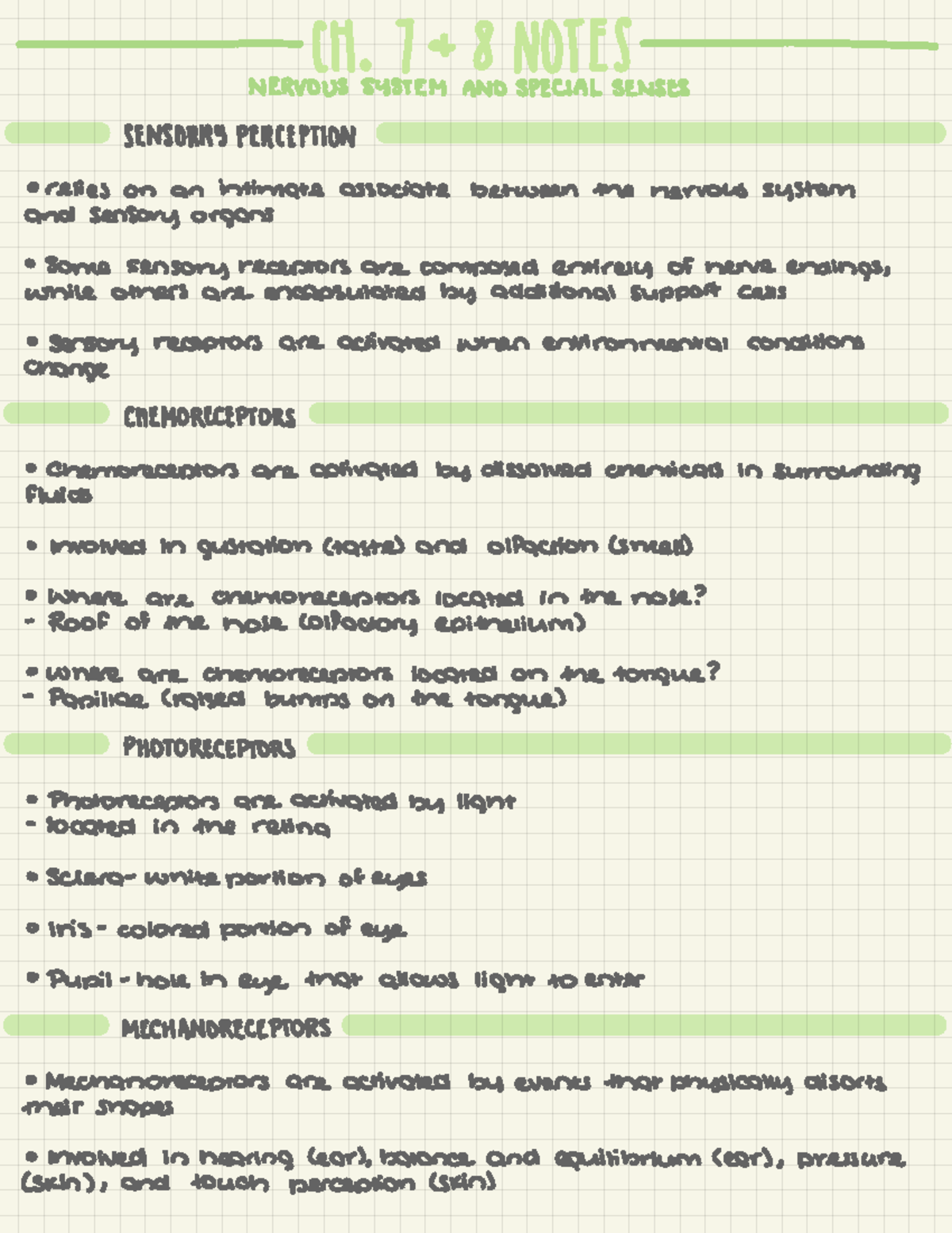 Quizlet Biology Chapter 7 - 36uu87j