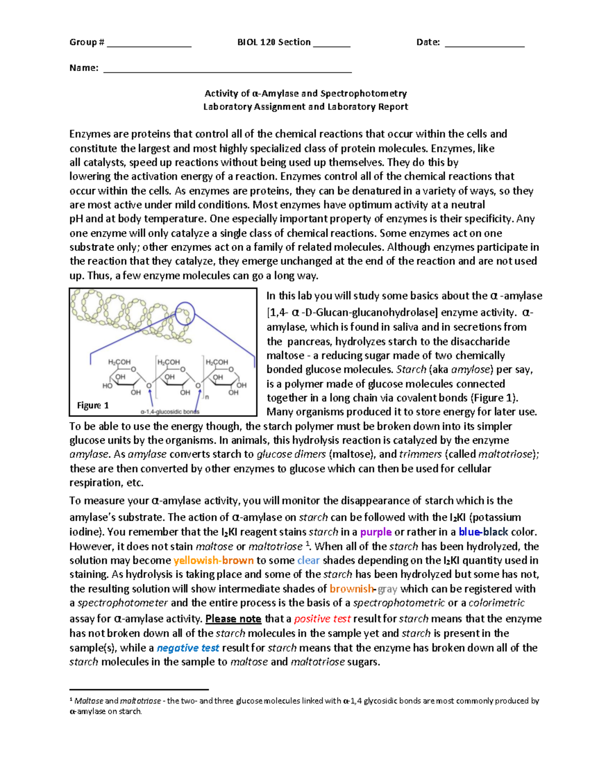 BIOL 120 Activity of α-Amylase and Spectrophotometry Lab Assignment and ...