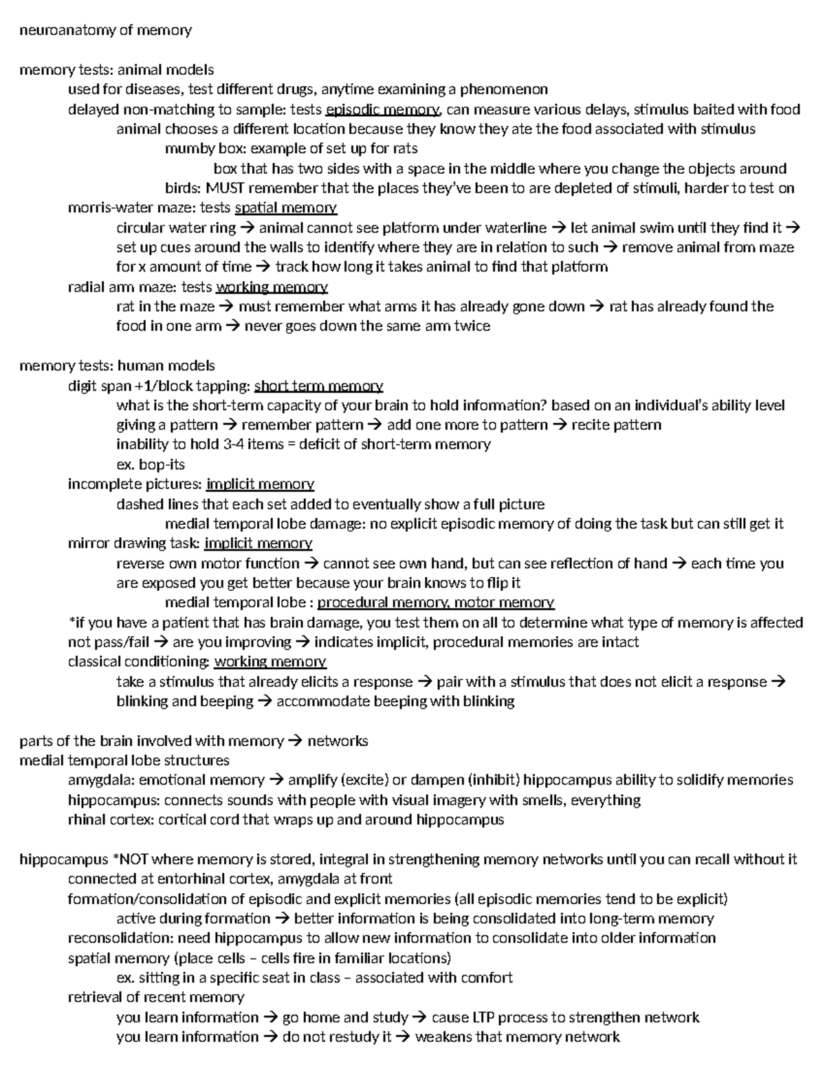 040924 - lecture notes submitted to ods - neuroanatomy of memory memory ...