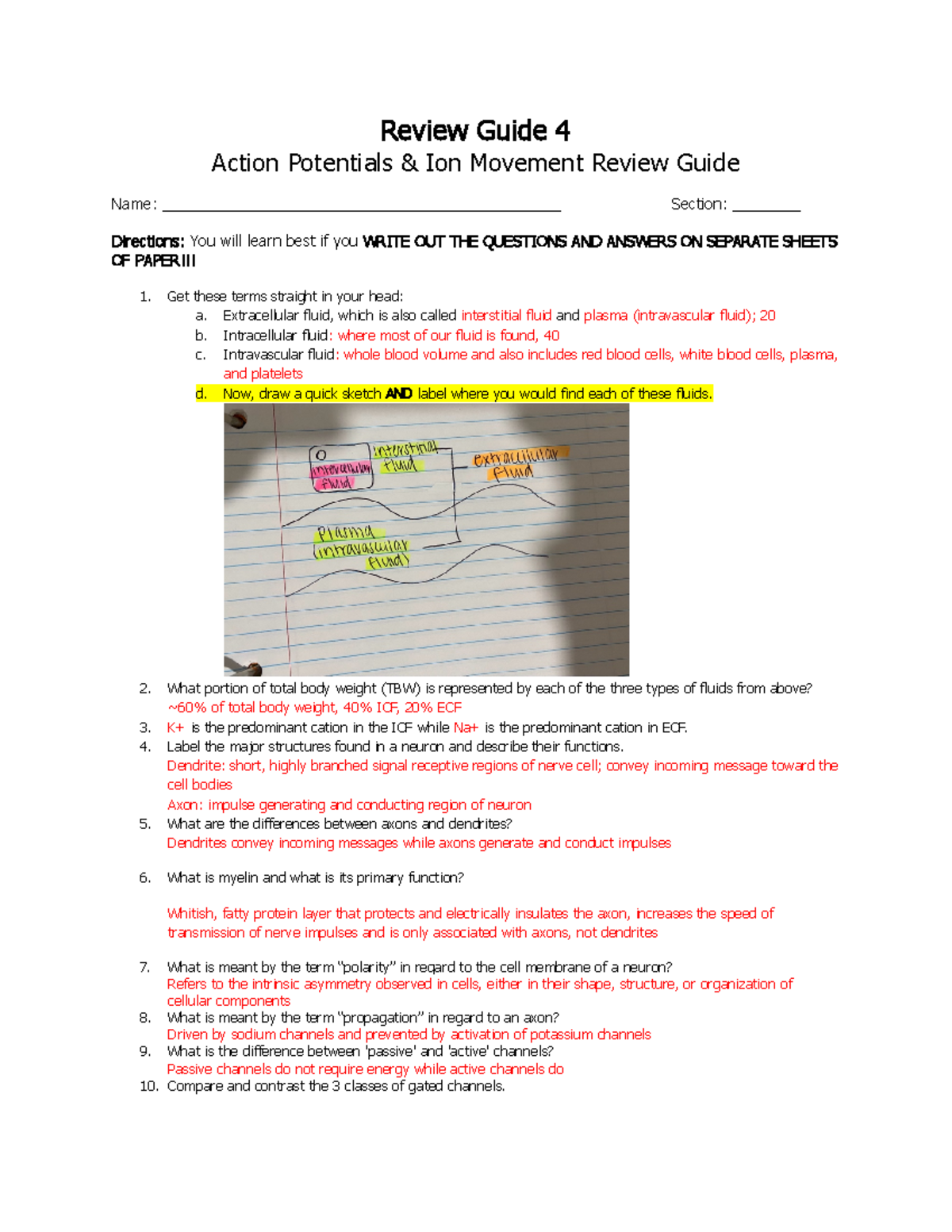 Review Guide 4 Ions, Actional Potential, and Electrolytes - BIO-201 ...