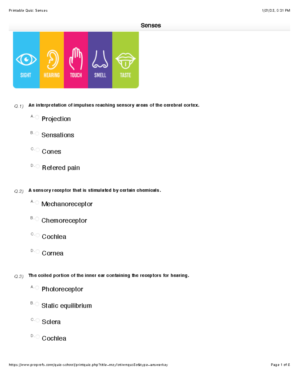 Senses - This is a practice quiz to help you be successful - Q) An ...