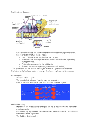 [Solved] The small intestine is comprised of which basic tissue types ...