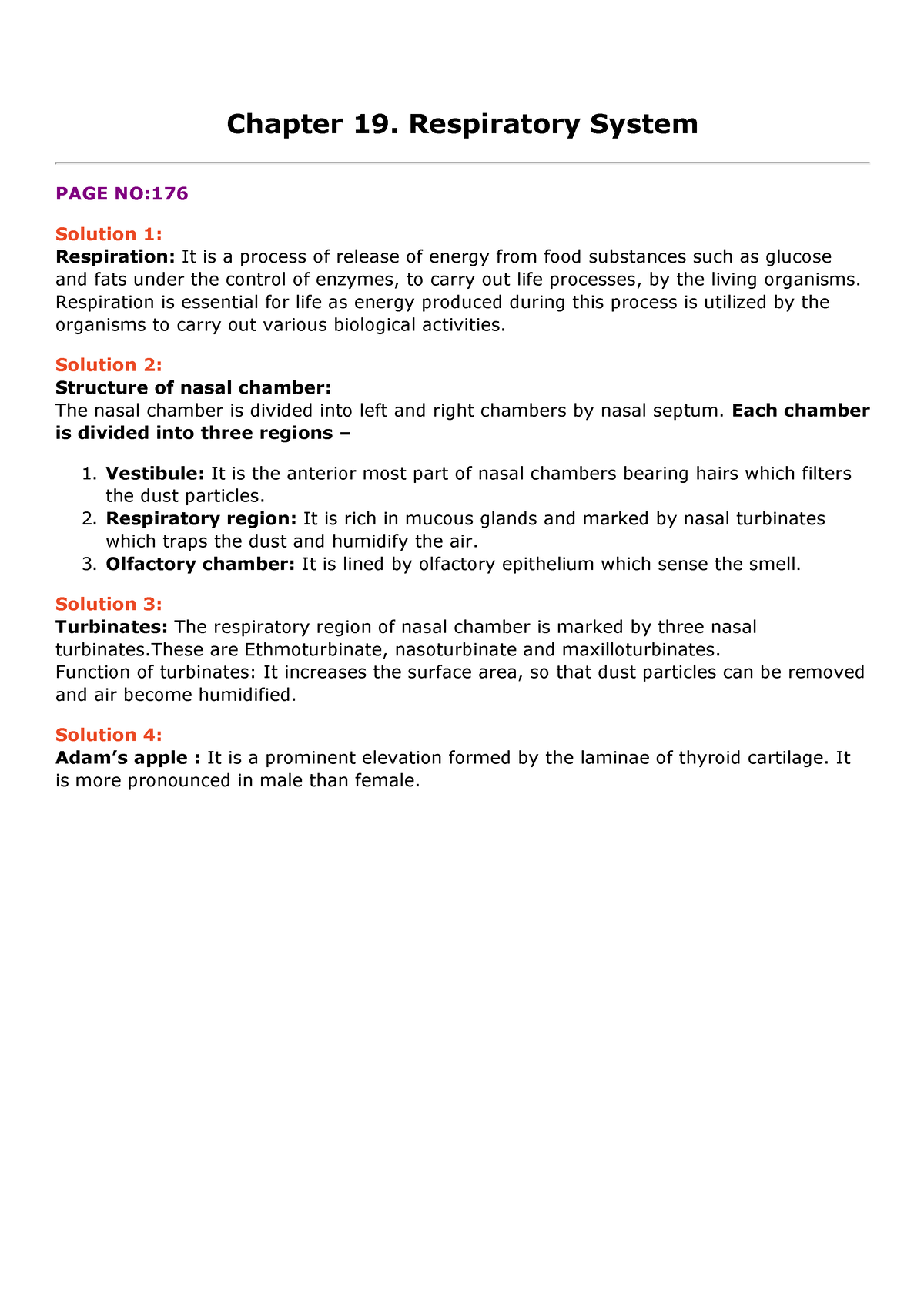 Respiratory System - notes - ncertbooksolutions Chapter 19. Respiratory ...