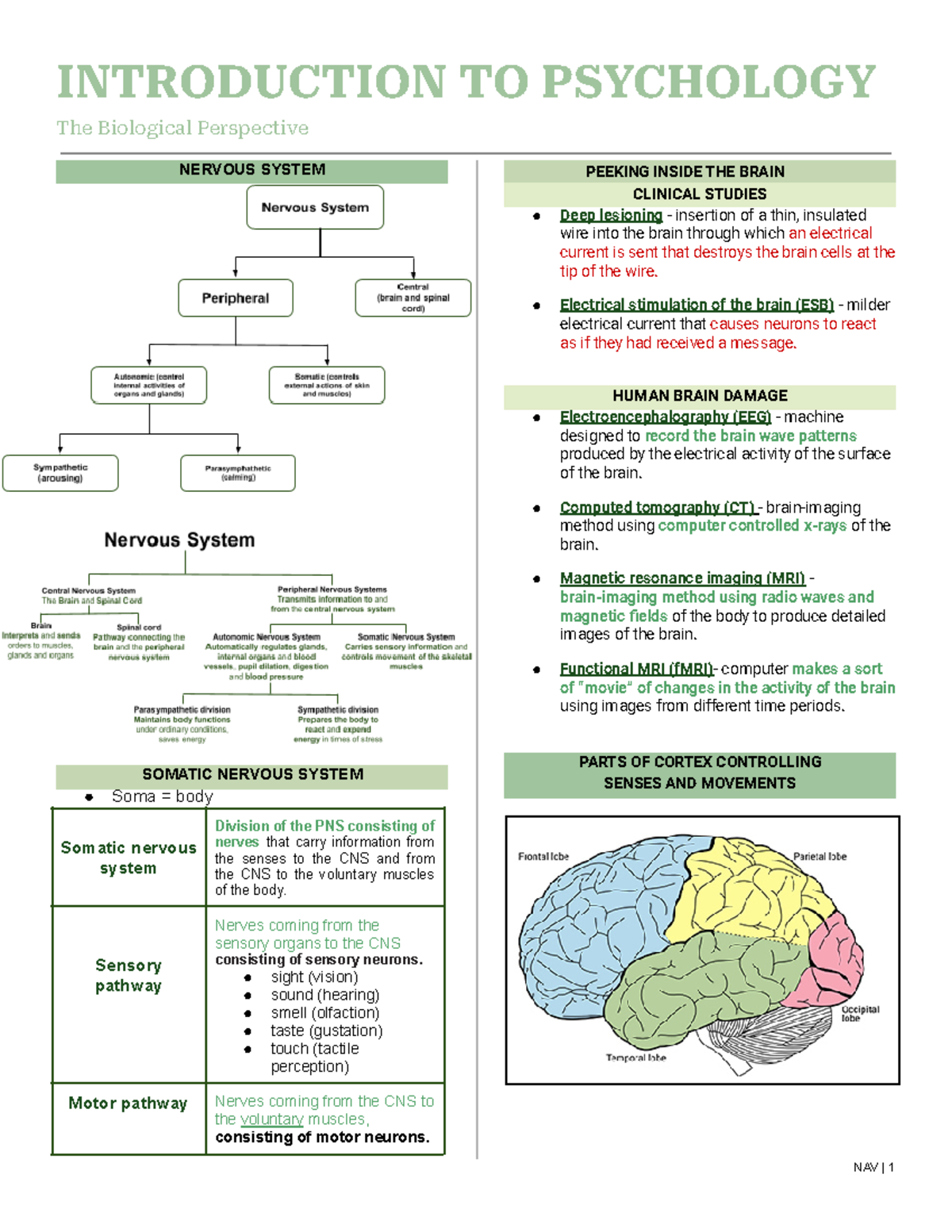 Introduction to Psychology - The Biological Perspective NERVOUS SYSTEM ...
