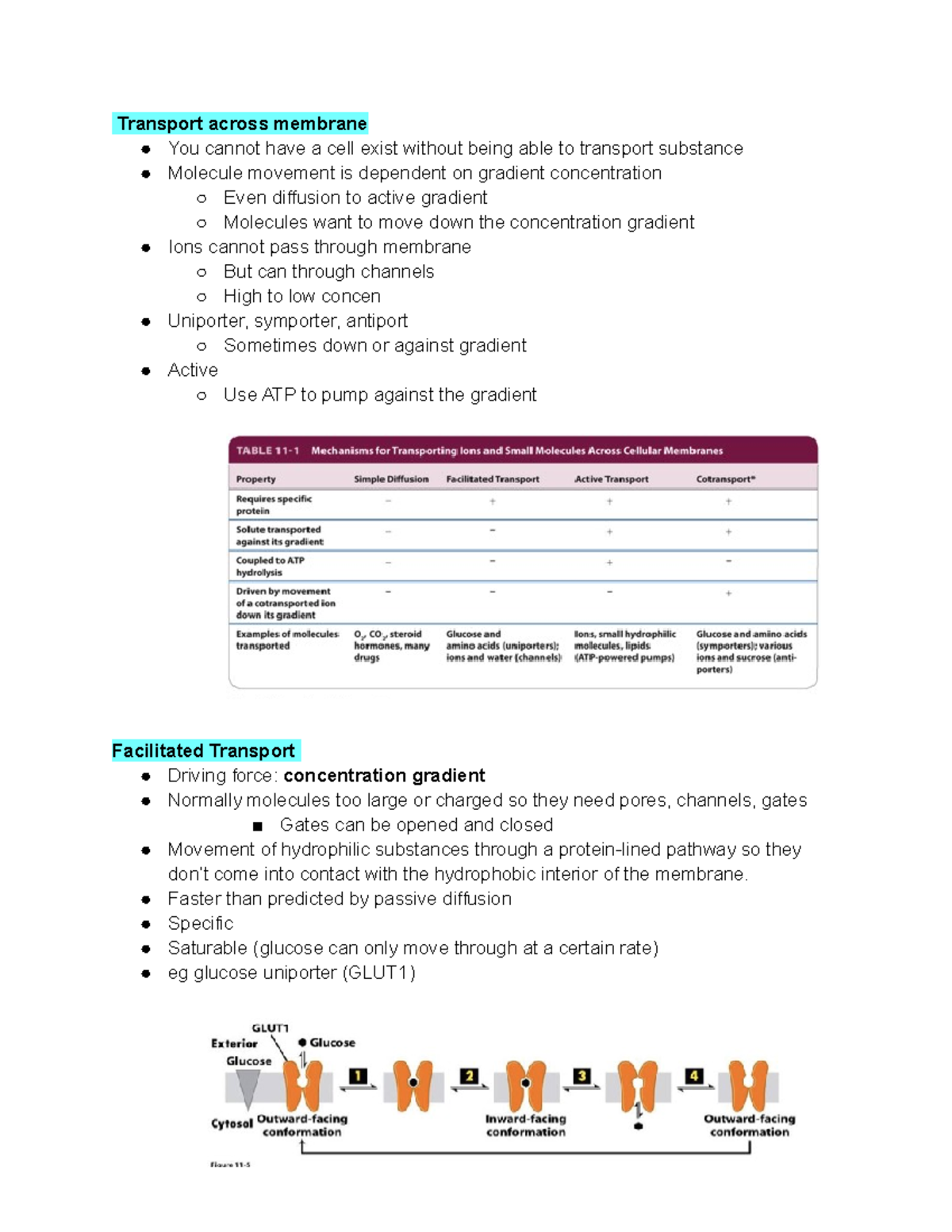 Cell Bio Week 10 - Lecture Notes - Transport Across Membrane You Cannot ...