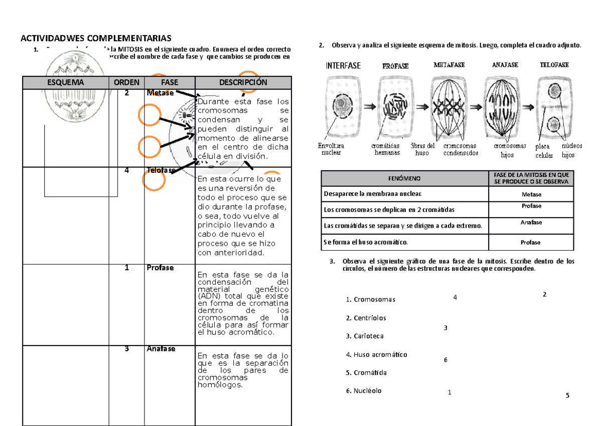 Examen De Biologia Basica Uasd Primer Parcial www.studocu.com