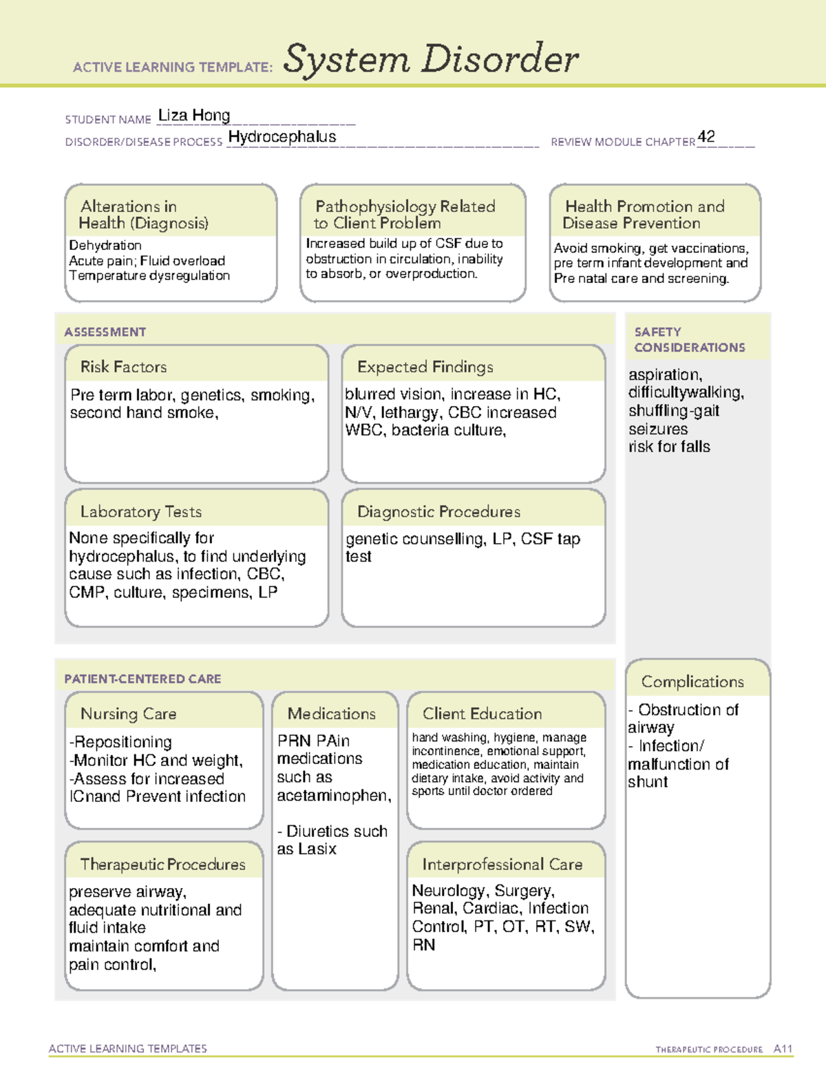 Liza+hong Pediatric System+disorder+template - Active Learning 