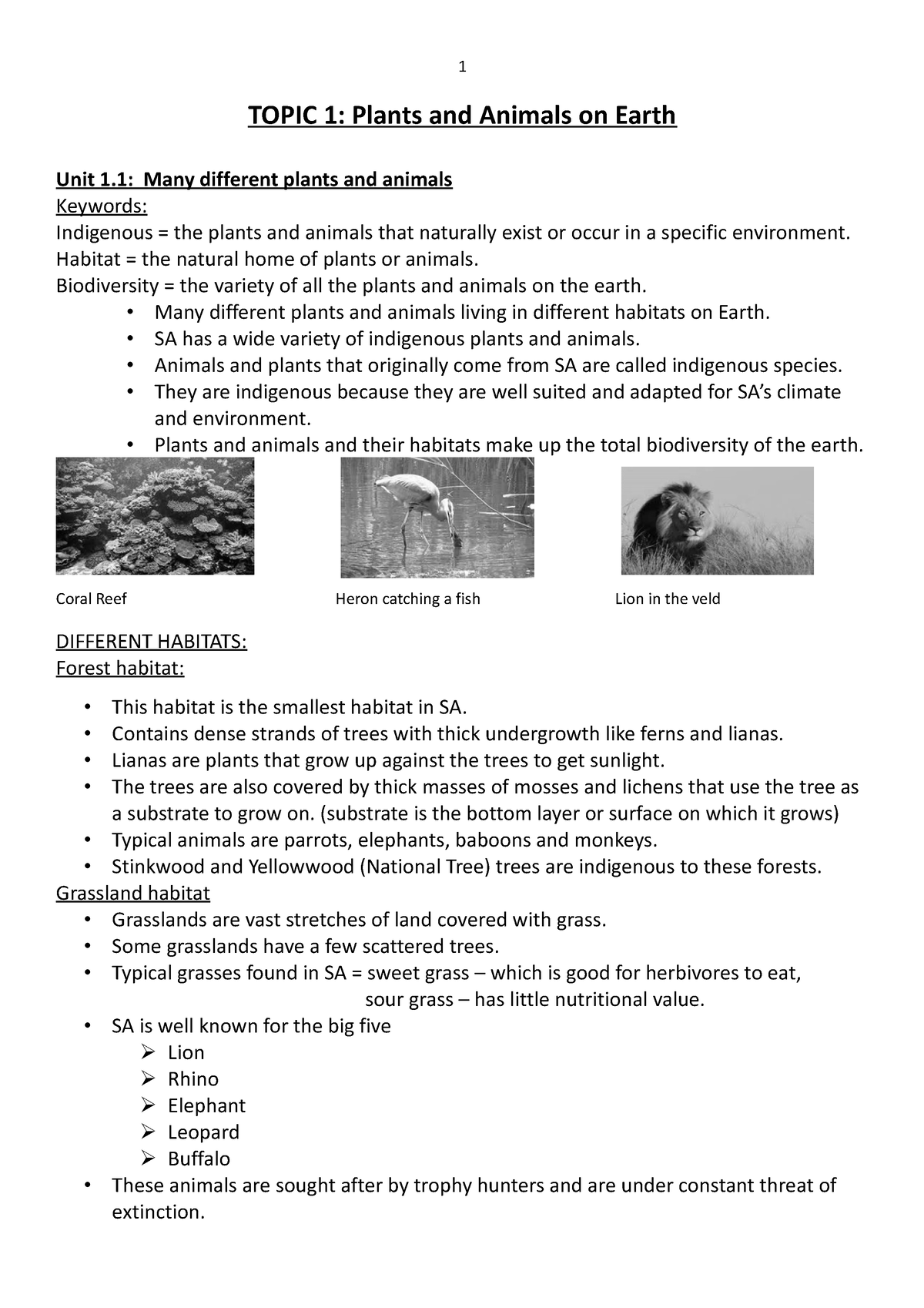 Natural Science term 1 - TOPIC 1: Plants and Animals on Earth Unit 1 ...