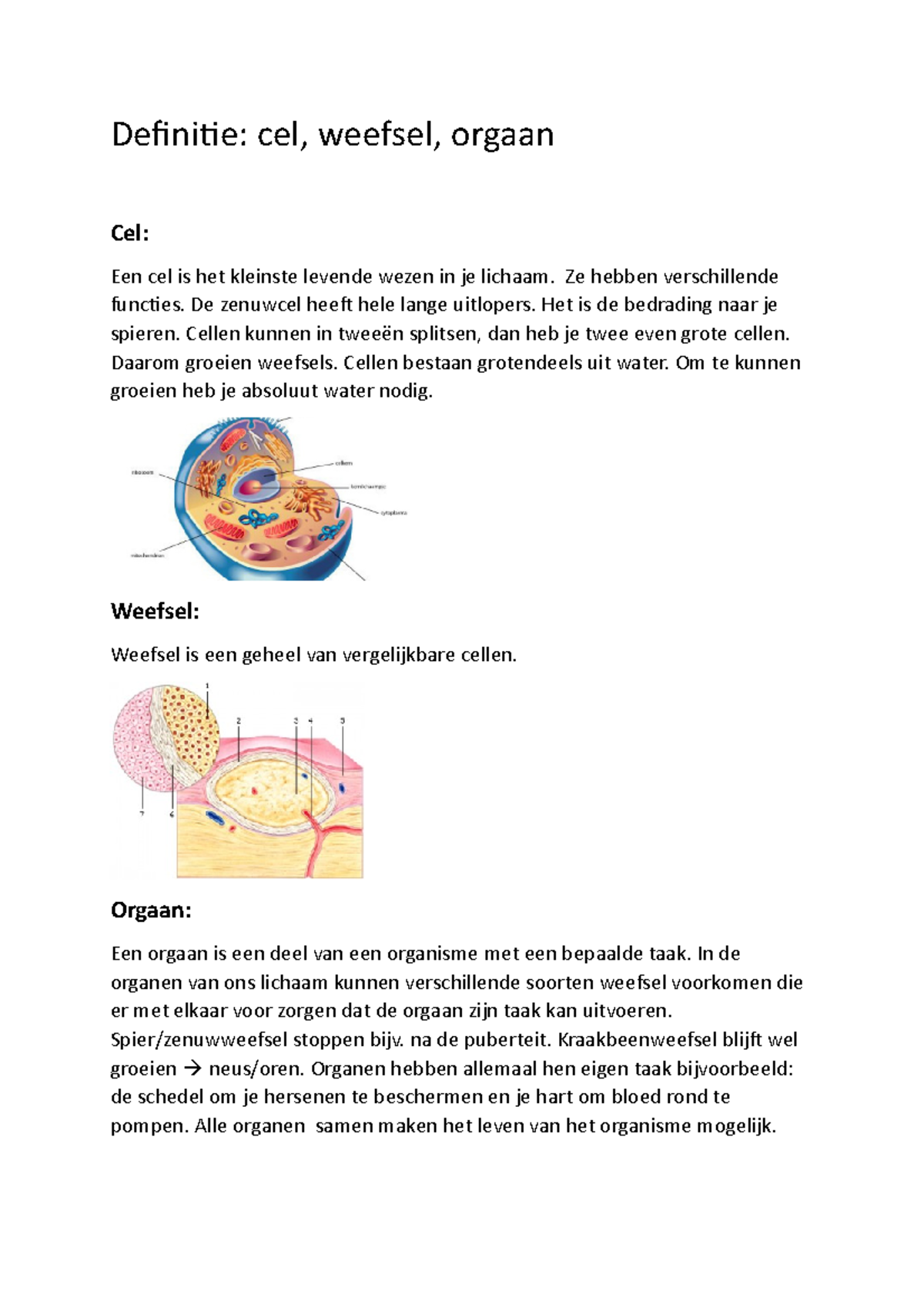 Samenvatting Planten - Definitie: Cel, Weefsel, Orgaan Cel: Een Cel Is ...