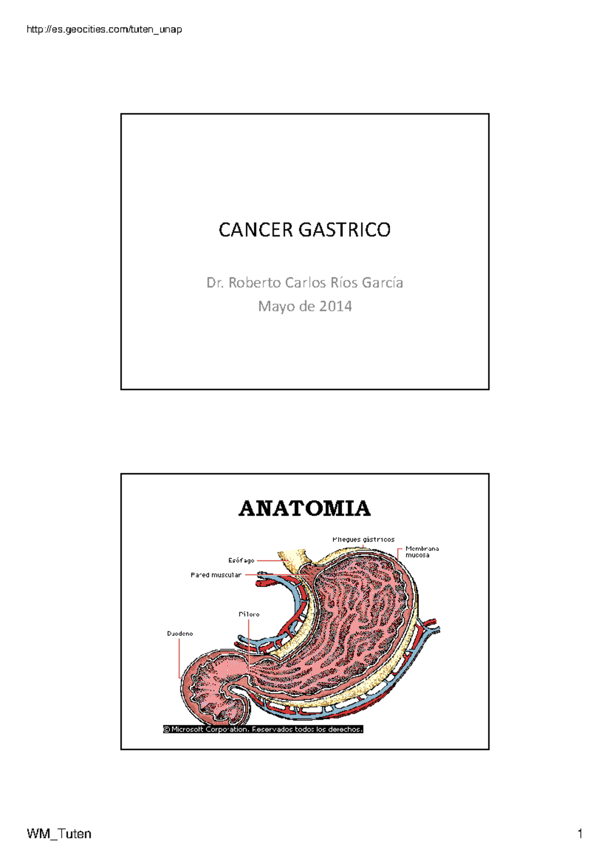 Cancer Gastrico [Modo de Compatibilidade] - CANCER GASTRICO Dr. Roberto ...