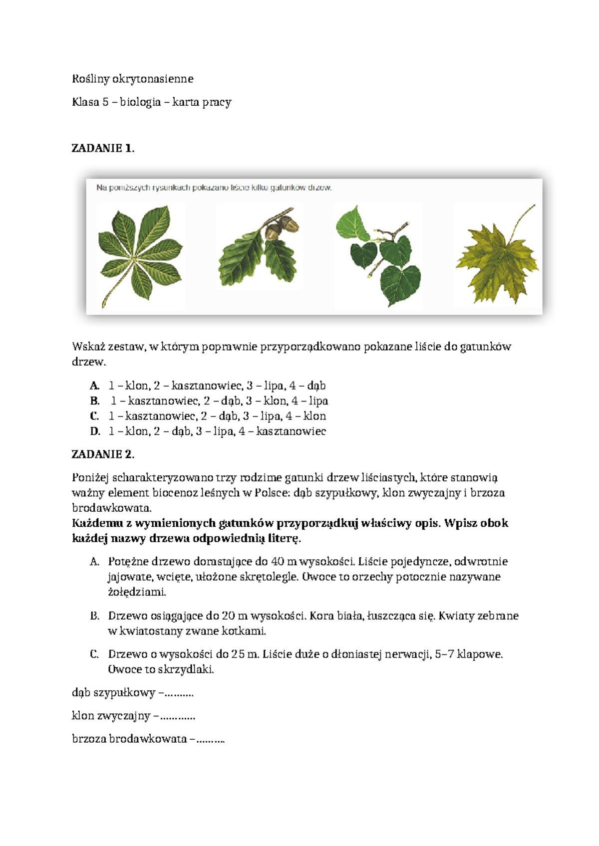 Sprawdzian Biologia Swiat Roślin Gimazjum Kl 1 www.studocu.com
