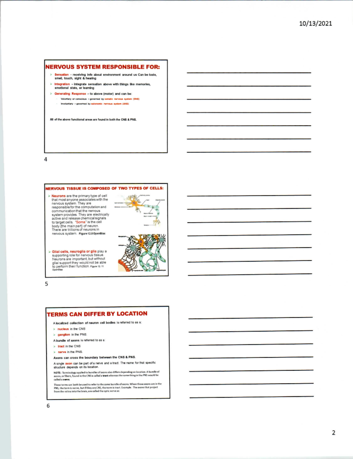Nervous System - NOTES/ COURSEWORK. - BIO220 - BU - Studocu