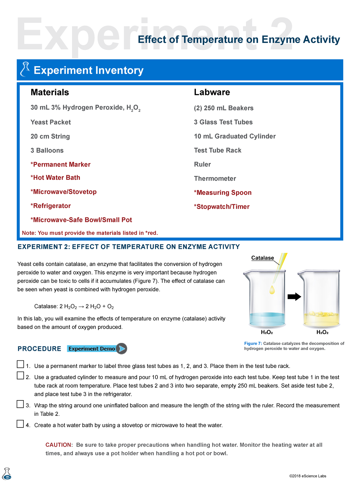 effect of temperature on enzyme activity experiment procedure