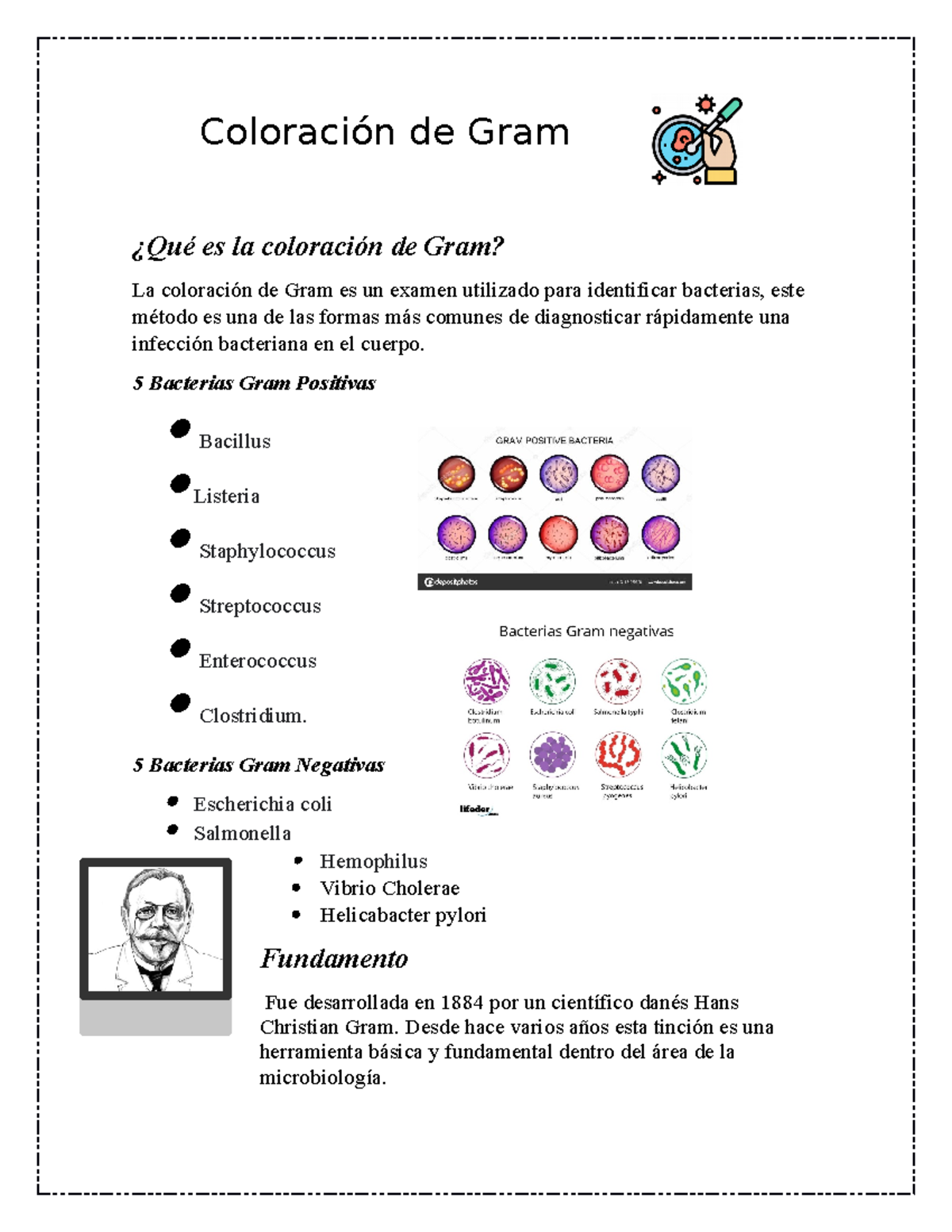 Coloración de Gram - Aqui podras encontrar todo lo relacionado con ...