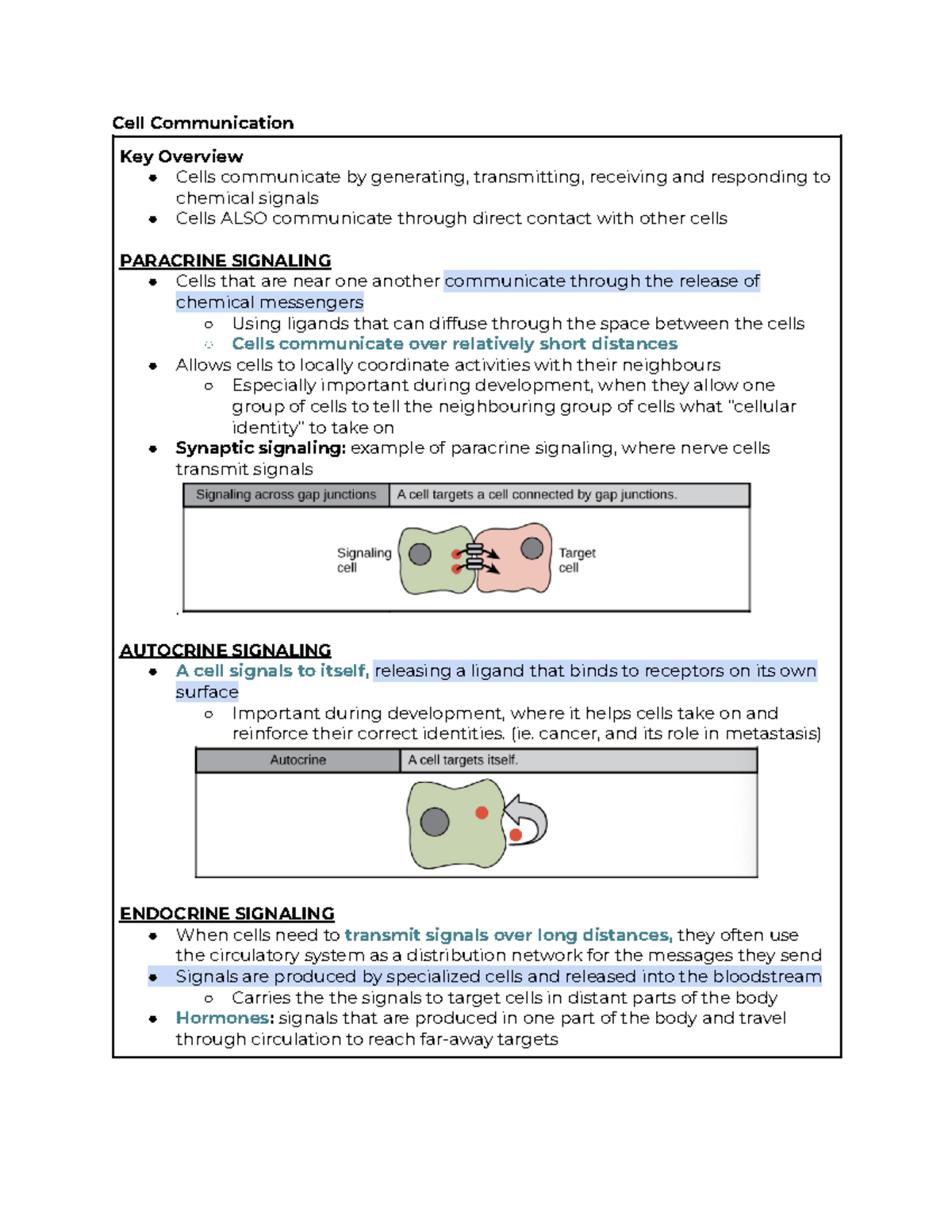 case study neurons and cell communication key