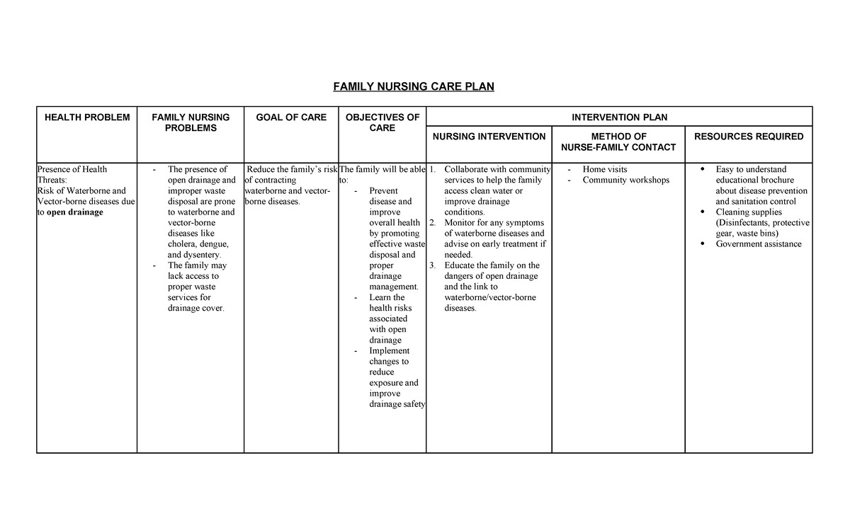Family Nursing CARE PLAN - FAMILY NURSING CARE PLAN HEALTH PROBLEM ...