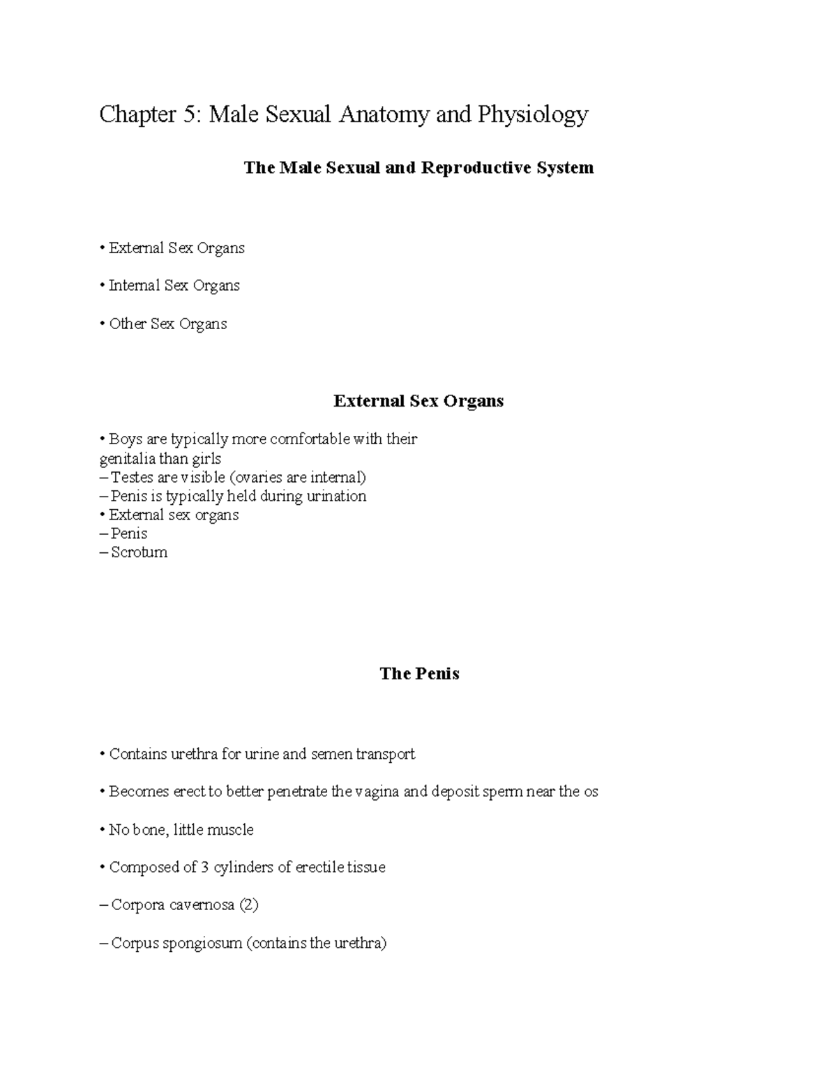 Human Sexuality Chapter 5 Notes Chapter 5 Male Sexual Anatomy And Physiology The Male Sexual 0273