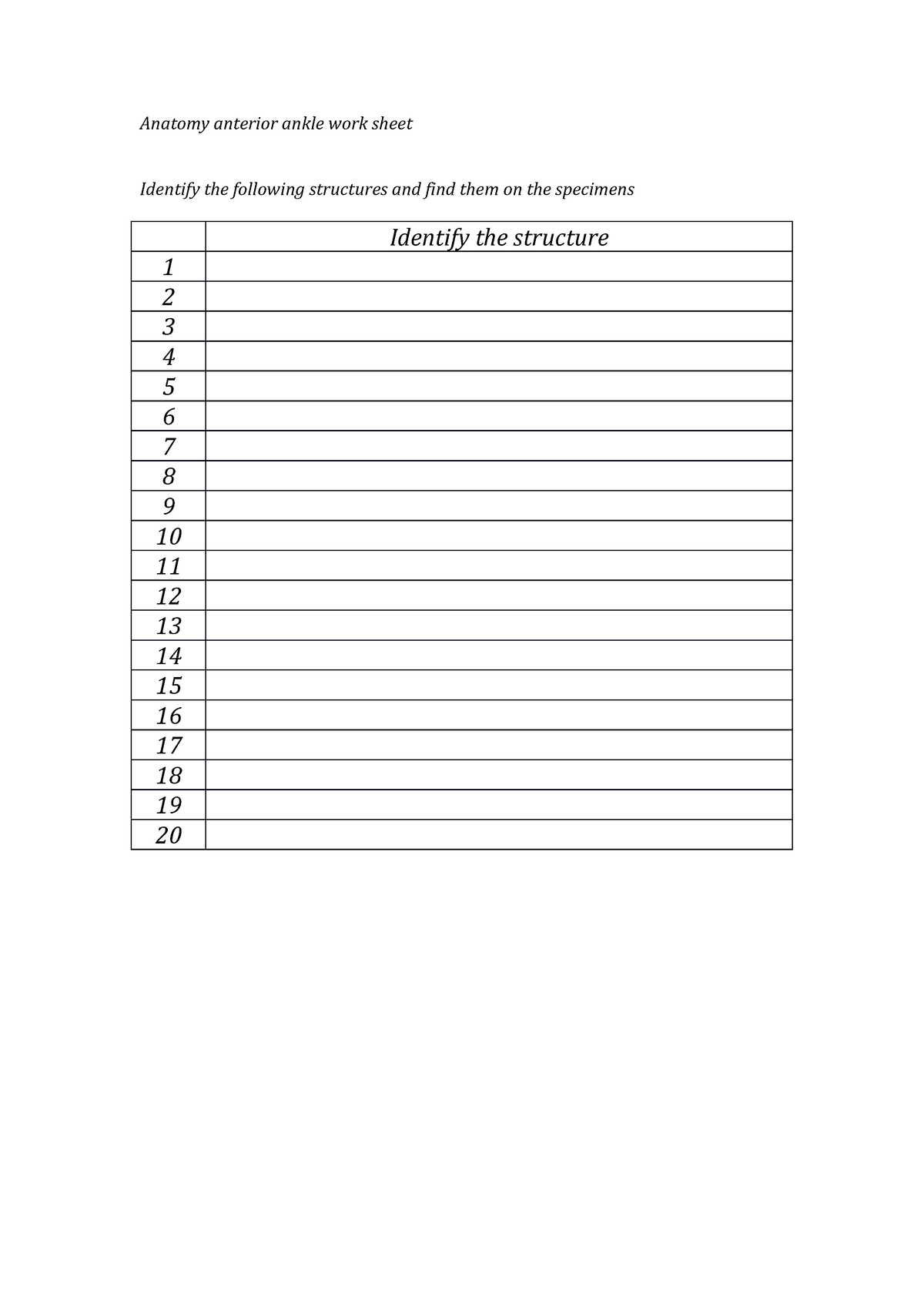 Ankle Anatomy Worksheet Week 4 - Tables - 400868 - Anatomy Anterior ...