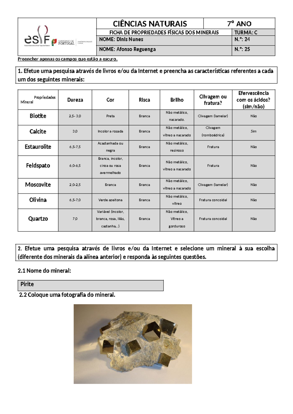 ficha-de-propriedades-f-sicas-dos-minerais-7-ano-ci-ncias-naturais