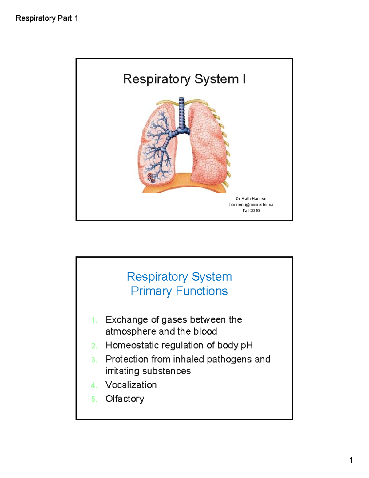 3 2019 Respiratory System I Handout-2 - Respiratory System Irespiratory 