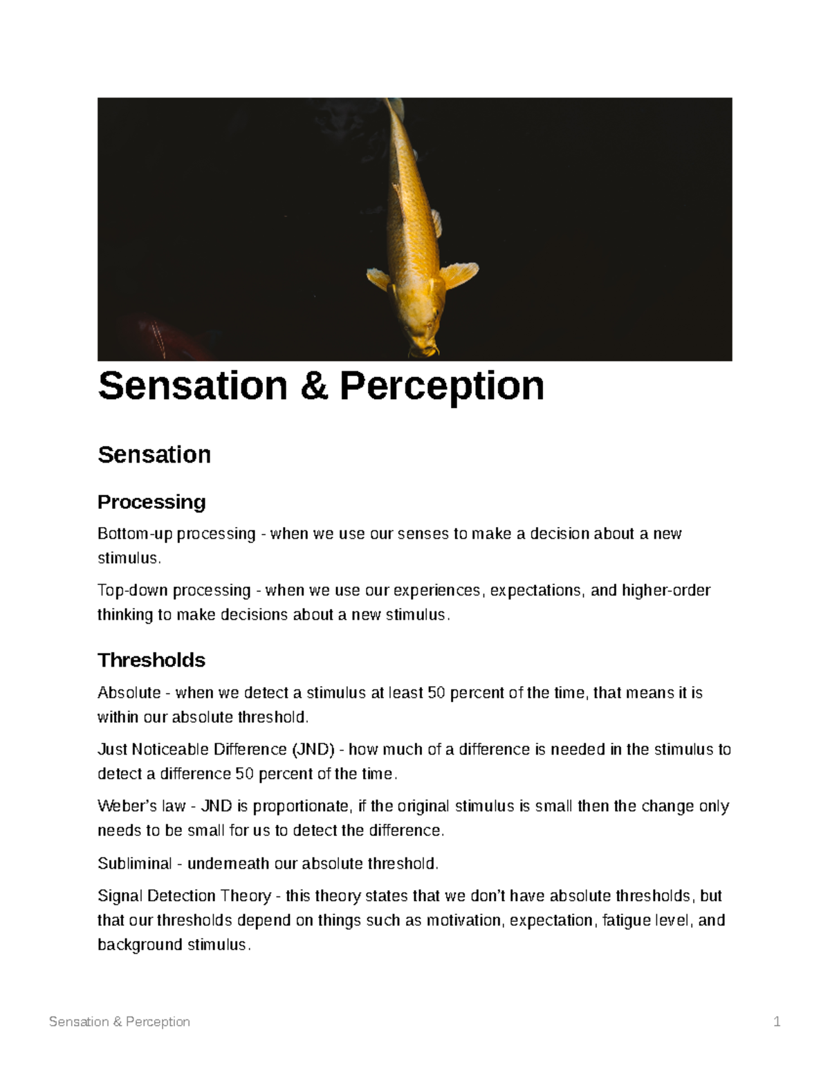 Sensation Perception - Sensation & Perception Sensation Processing ...