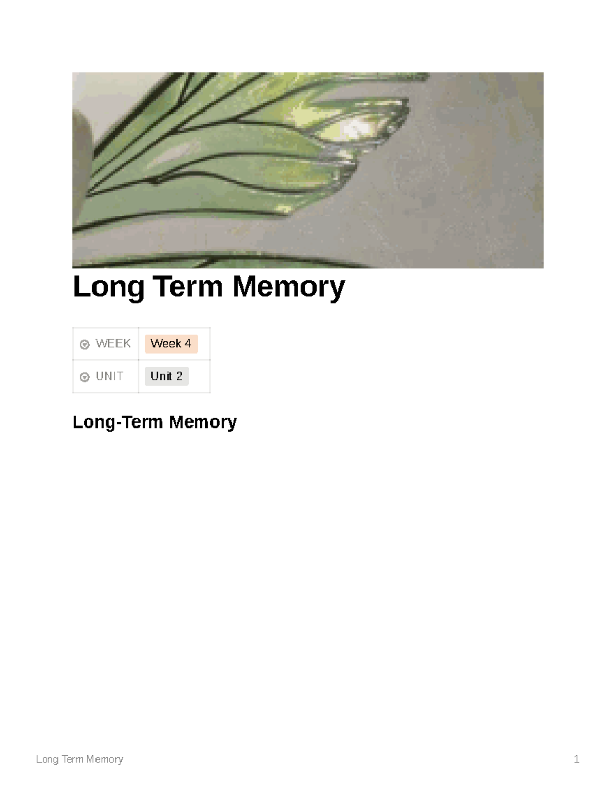 Long Term Memory - Dr.Leal - Long Term Memory WEEK Week 4 UNIT Unit 2 ...