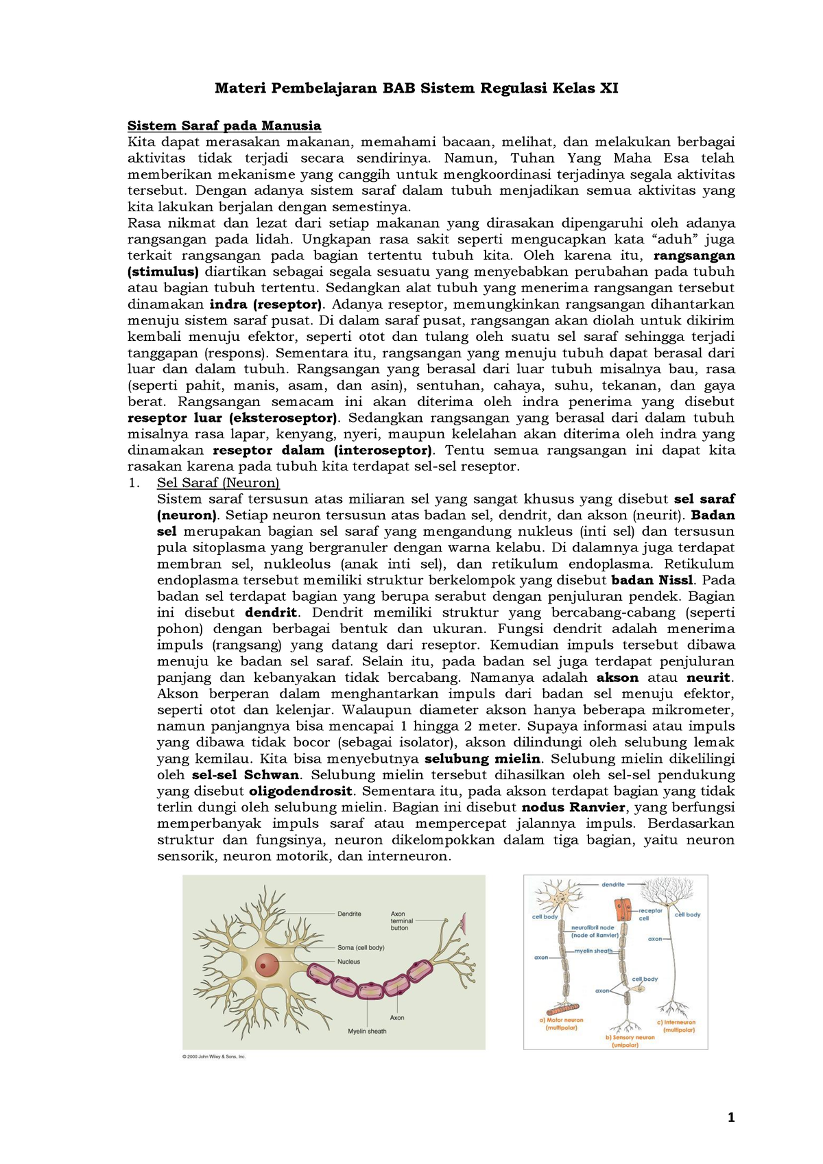 Materi Pembelajaran BAB Sistem Regulasi - Namun, Tuhan Yang Maha Esa ...