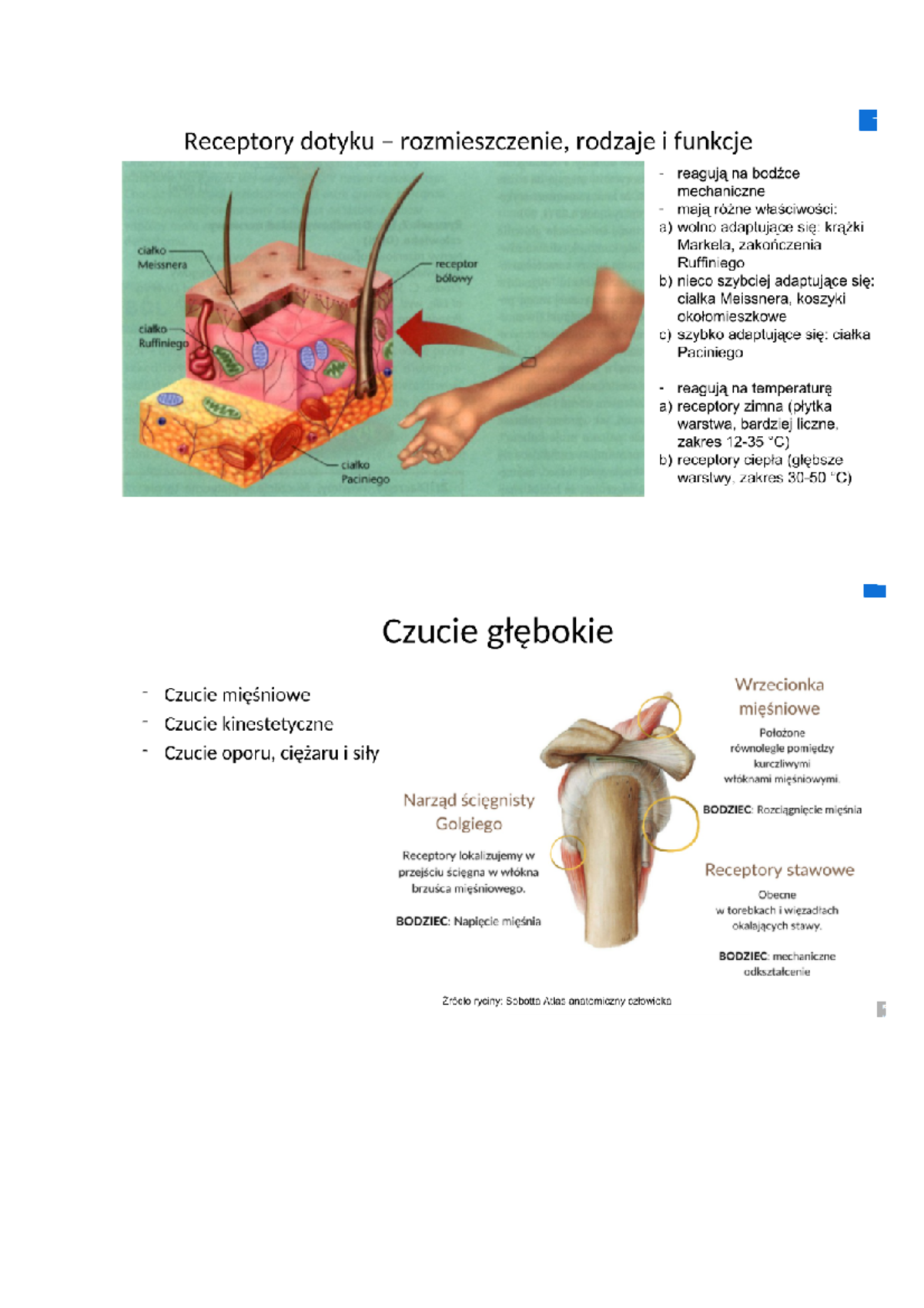 Czucie Głębokie Co To Jest Czucie i jego zaburzenia: rodzaje czucia (czucie powierzchniowe