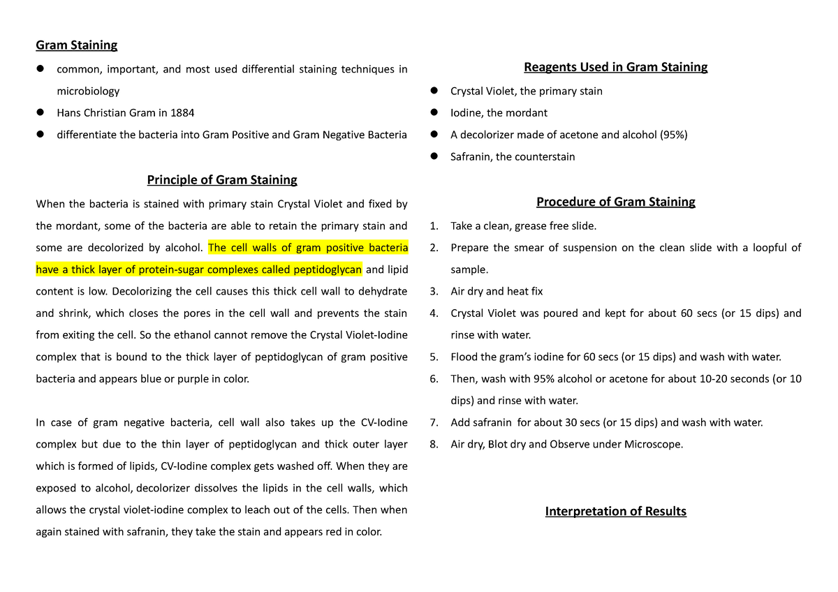 BACT Lab Practicals Reviewer - Gram Staining Common, Important, And ...