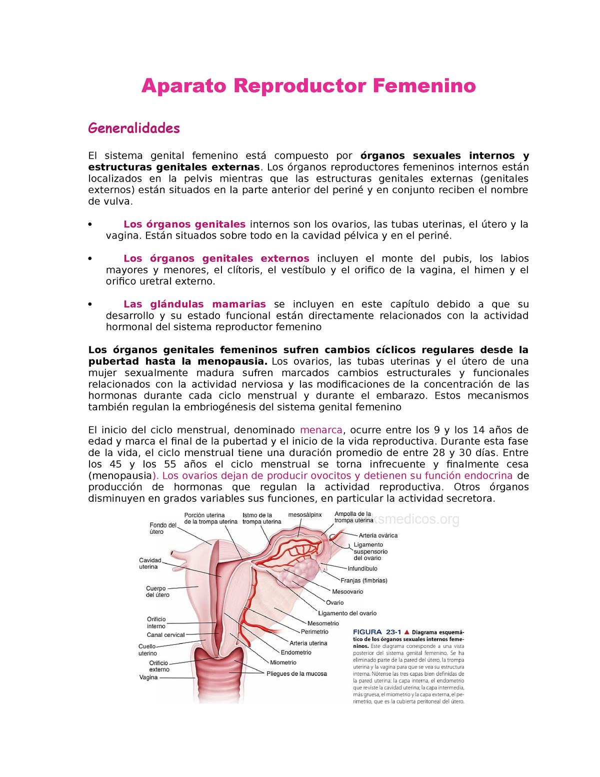 Aparato Reproductor Femenino Aparato Reproductor Femenino Generalidades El Sistema Genital 4657