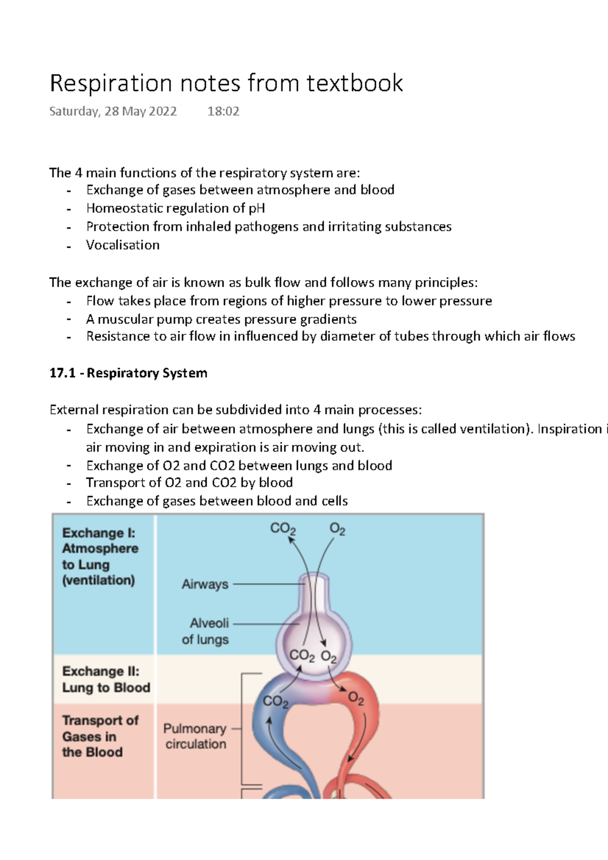 Respiration notes - The 4 main functions of the respiratory system are ...