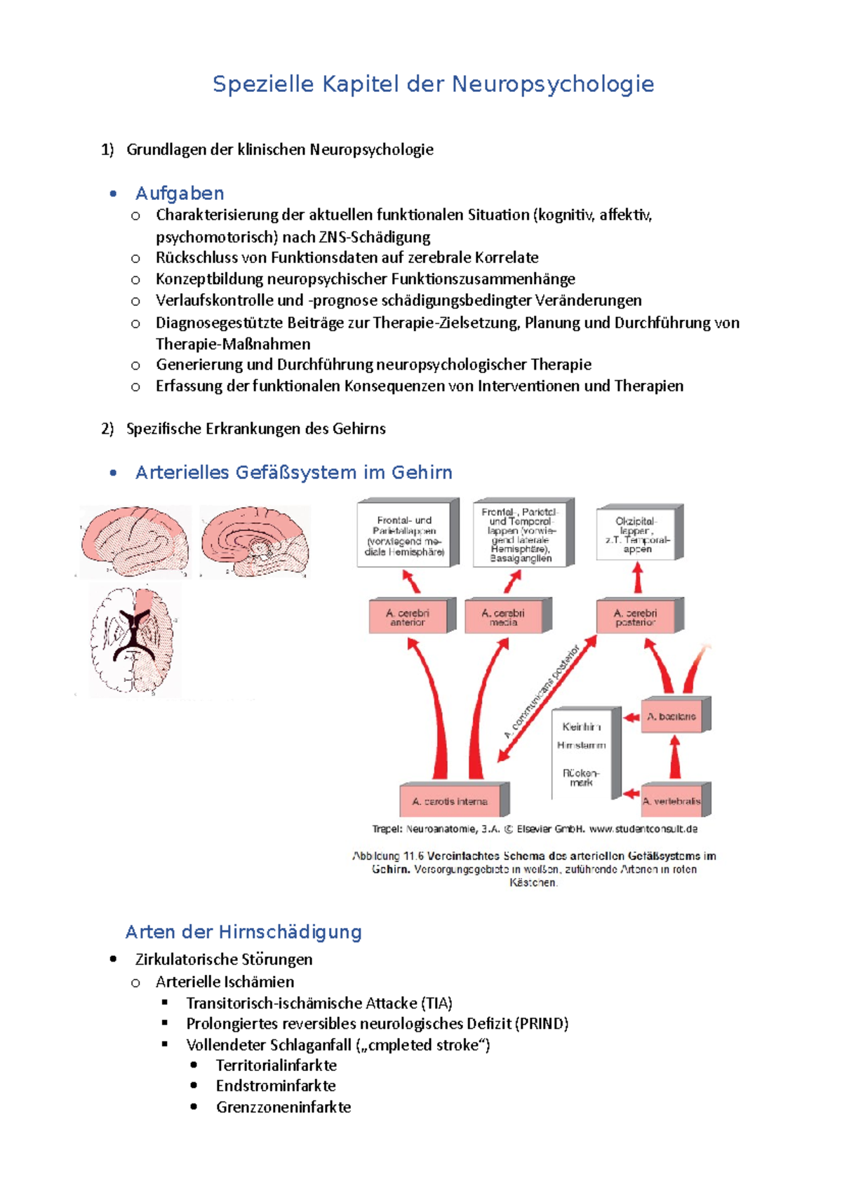 Zusammenfassung Spezielle Kapitel Der Neuropsychologie Grundlagen Der