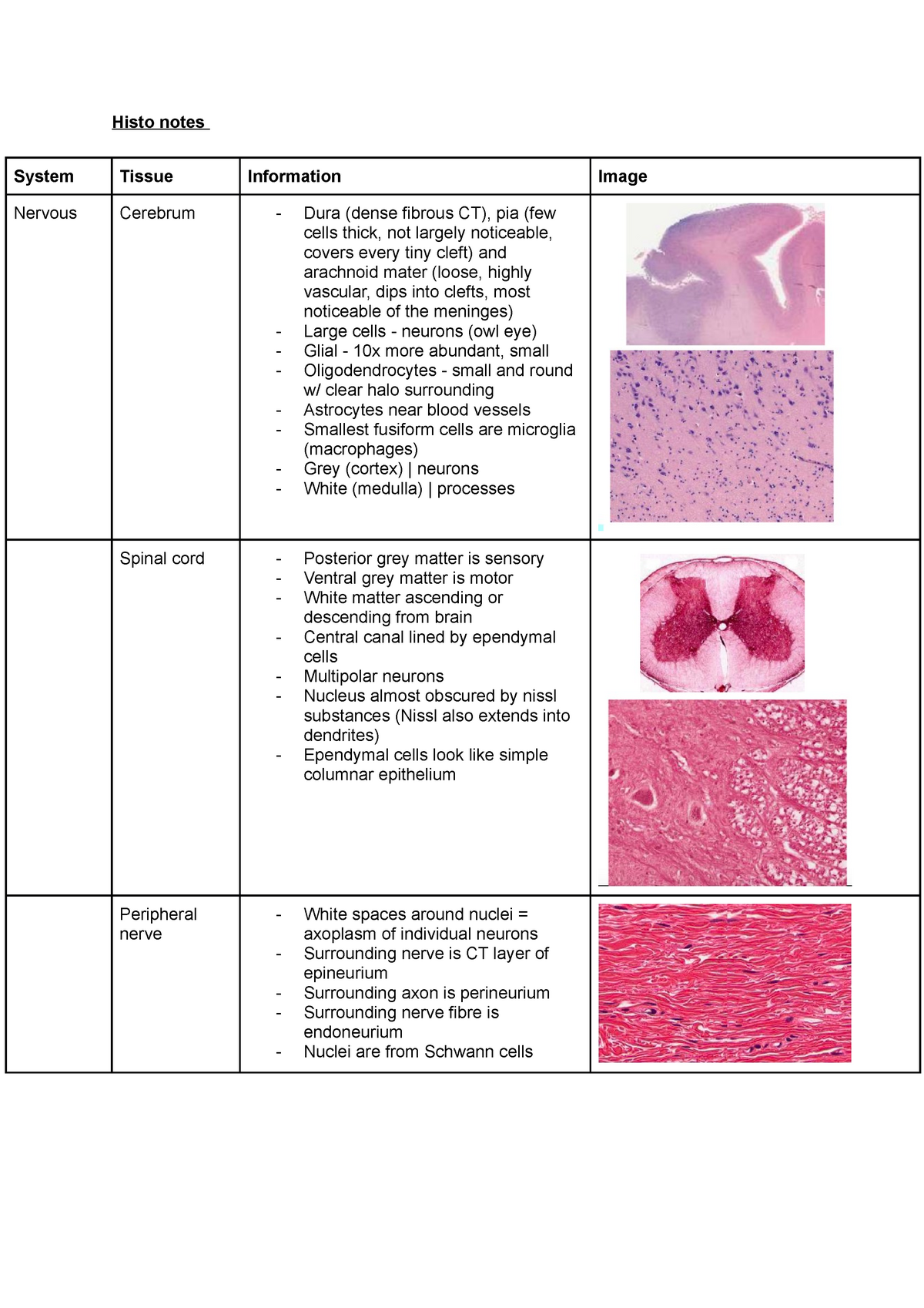 Histo prac exam notes - Histo notes System Tissue Nervous Cerebrum ...