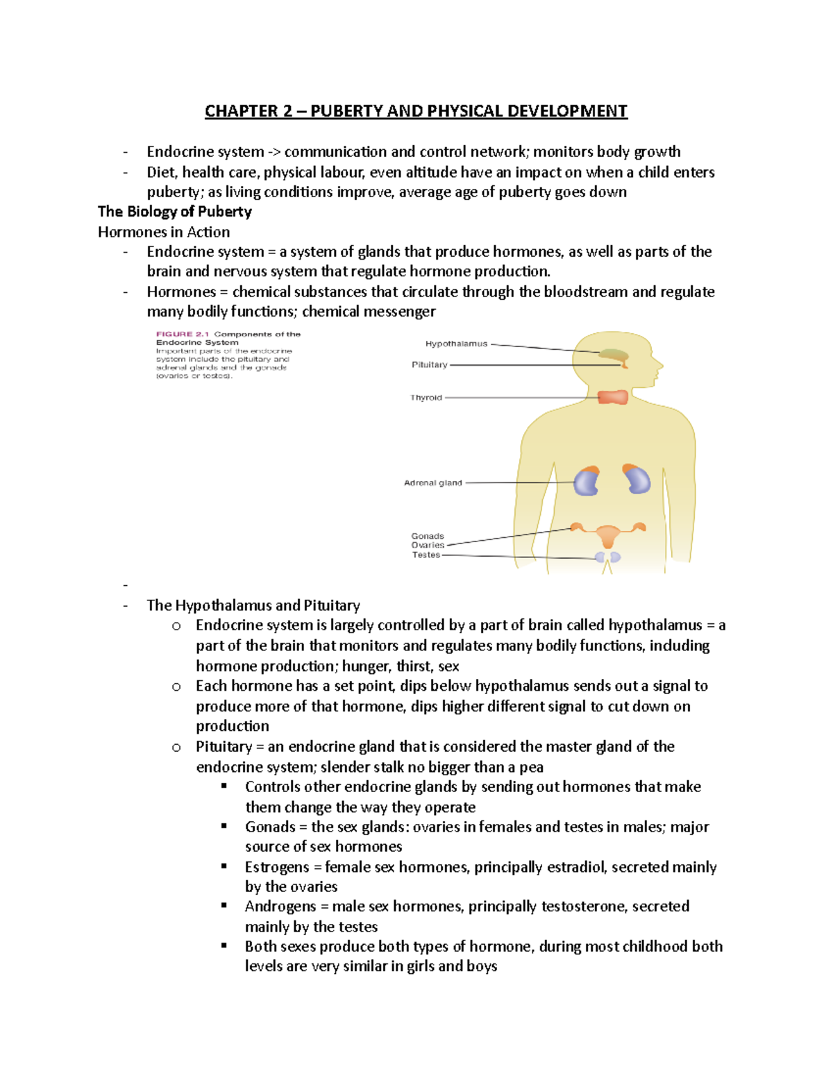 Chapter 2 - Lecture notes 2 - CHAPTER 2 – PUBERTY AND PHYSICAL ...