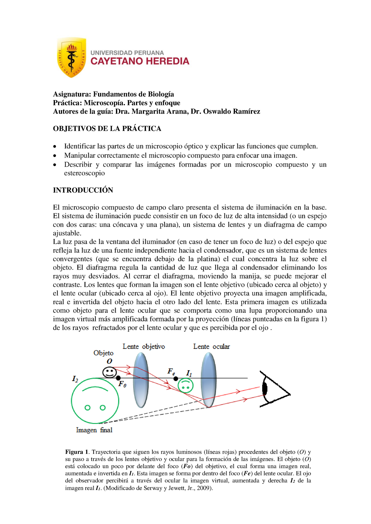 Practica 1 Microscopia Partes y enfoque 1 1 Asignatura Fundamentos de Biología Práctica